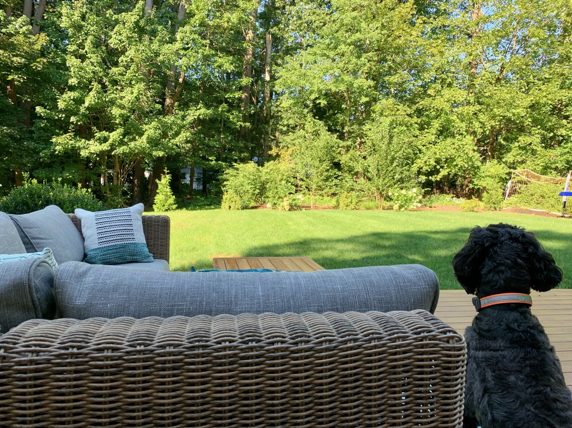 A Busy Family’s Space to Unwind - Photo 4