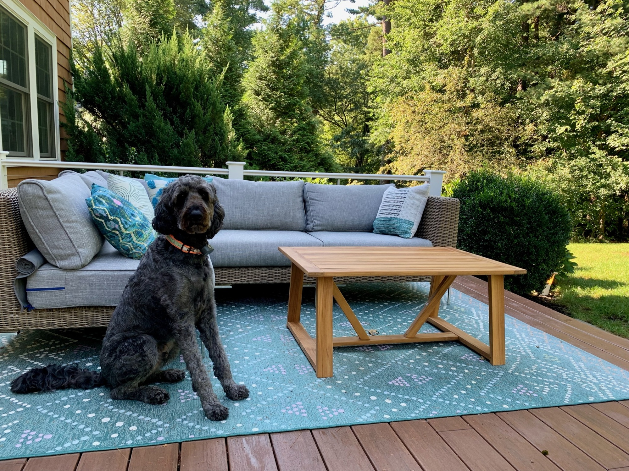 A Busy Family’s Space to Unwind - Photo 5