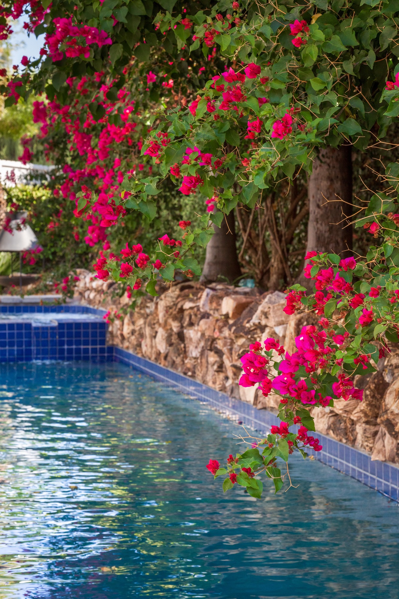 Peaceful Escape in Woodland Hills - Photo 10