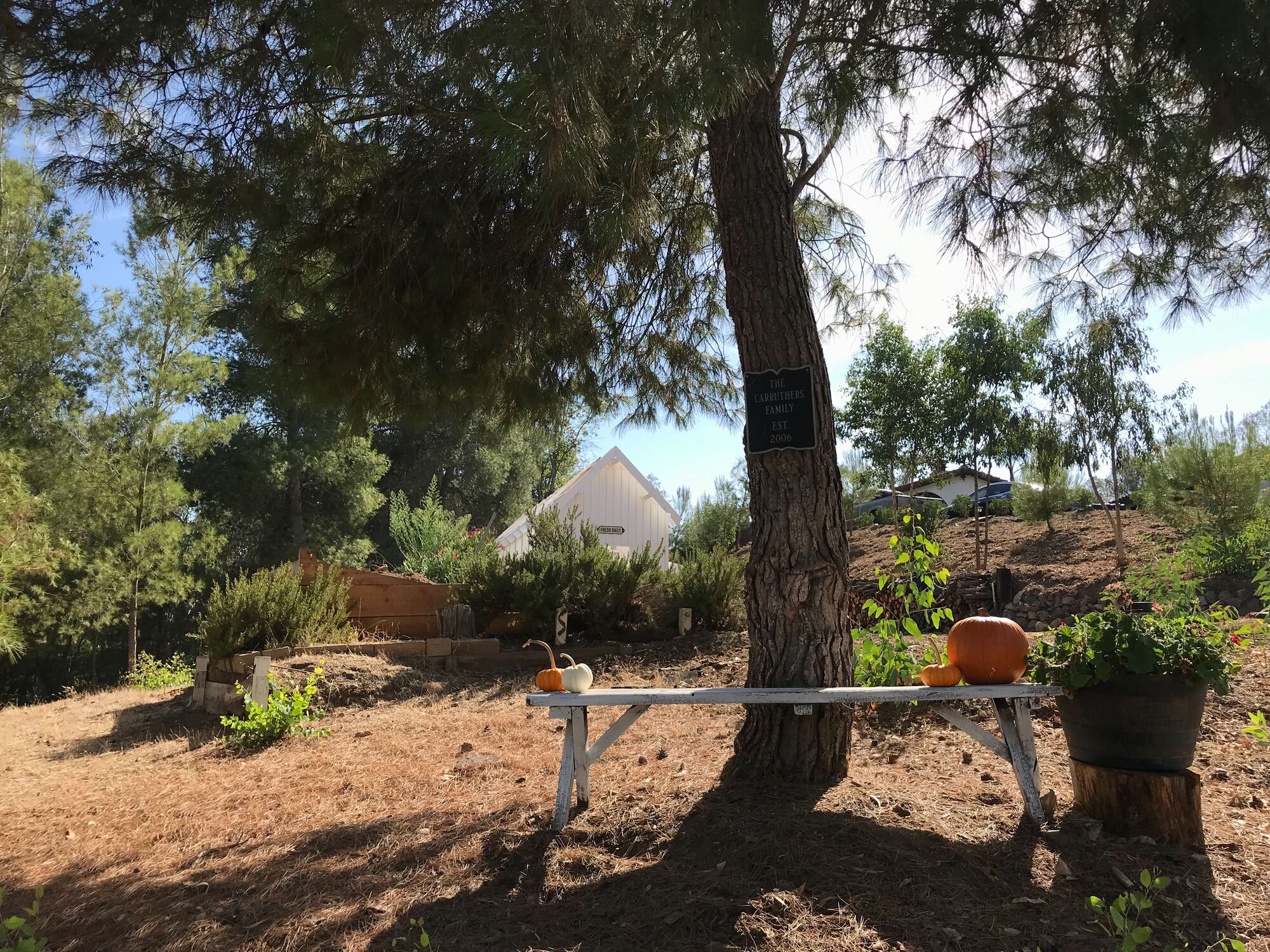 Tranquil Mission-Style Ranch in Escondido, CA - Photo 2