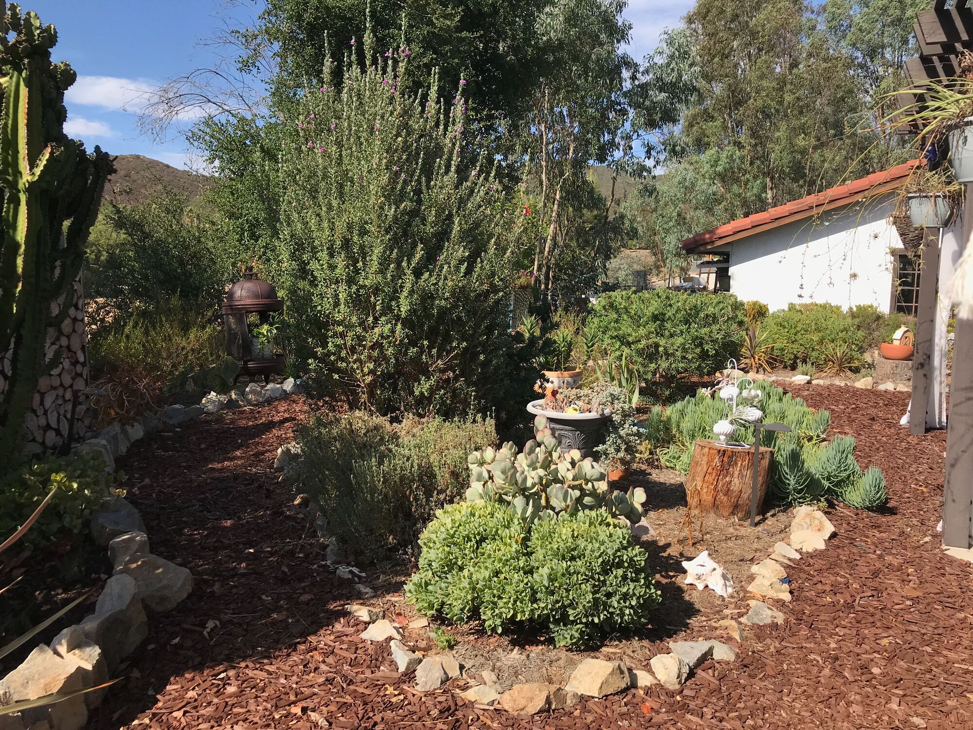 Tranquil Mission-Style Ranch in Escondido, CA - Photo 4