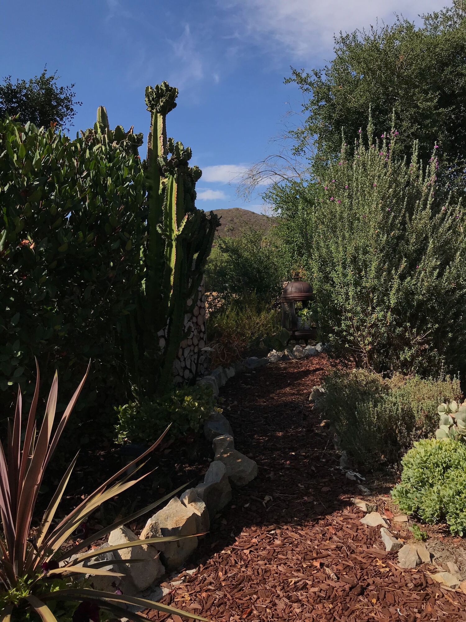 Tranquil Mission-Style Ranch in Escondido, CA - Photo 8