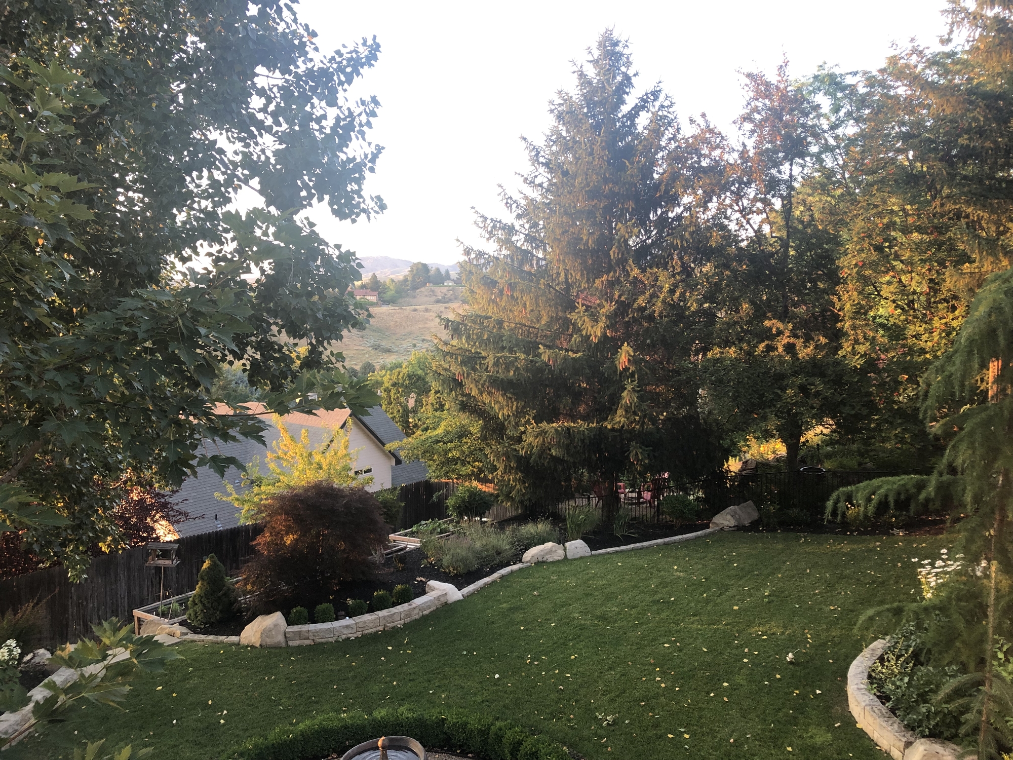 Boise Highlands Treehouse Deck - Photo 6