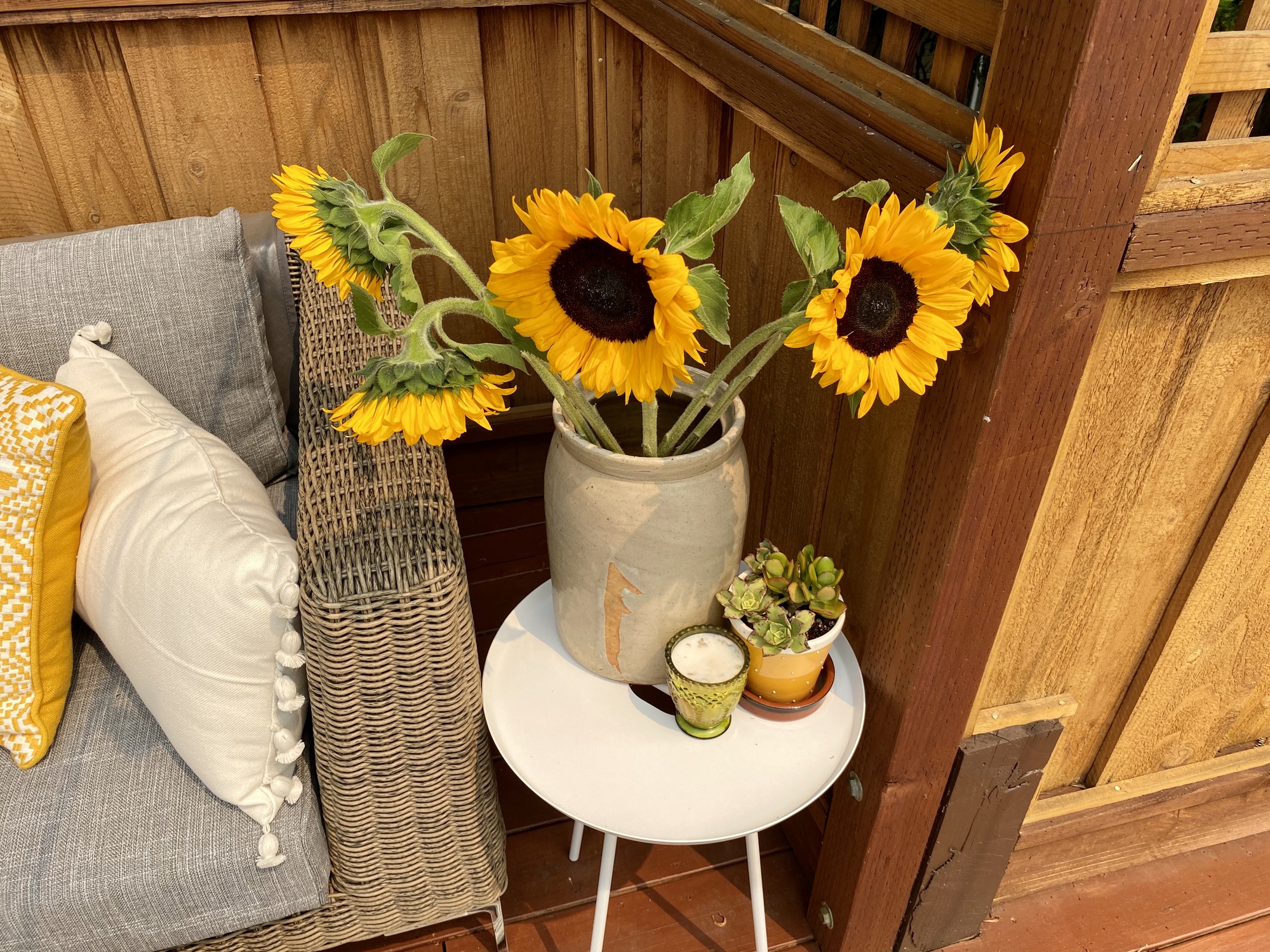 Poolside Neighborhood Hangout in Redwood City, CA - Photo 3