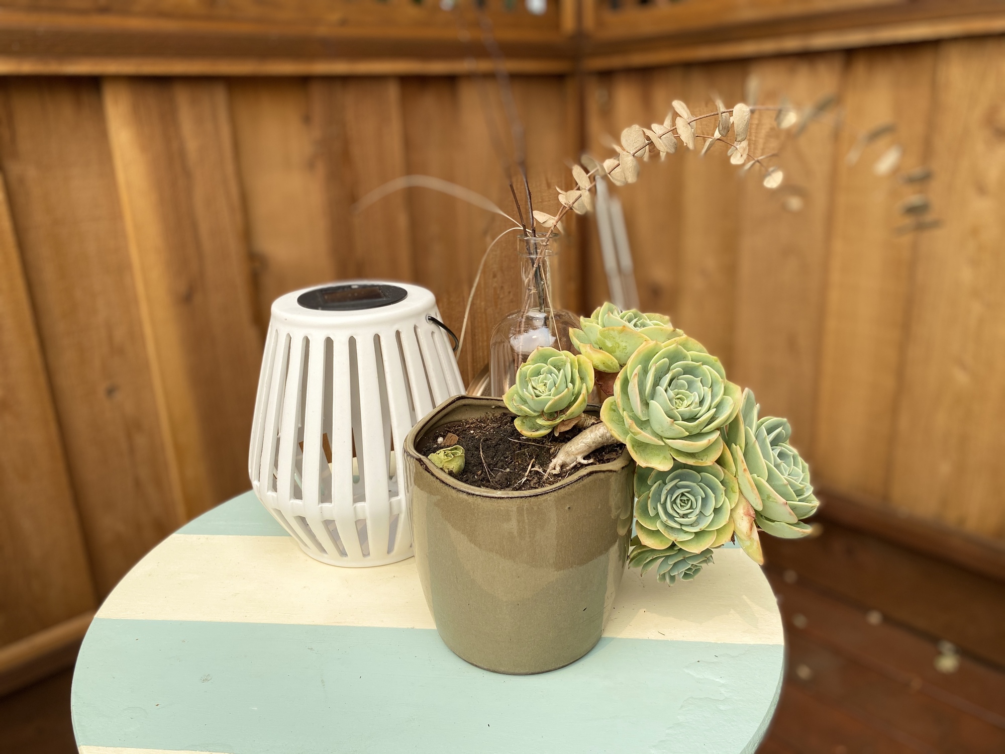 Poolside Neighborhood Hangout in Redwood City, CA - Photo 6