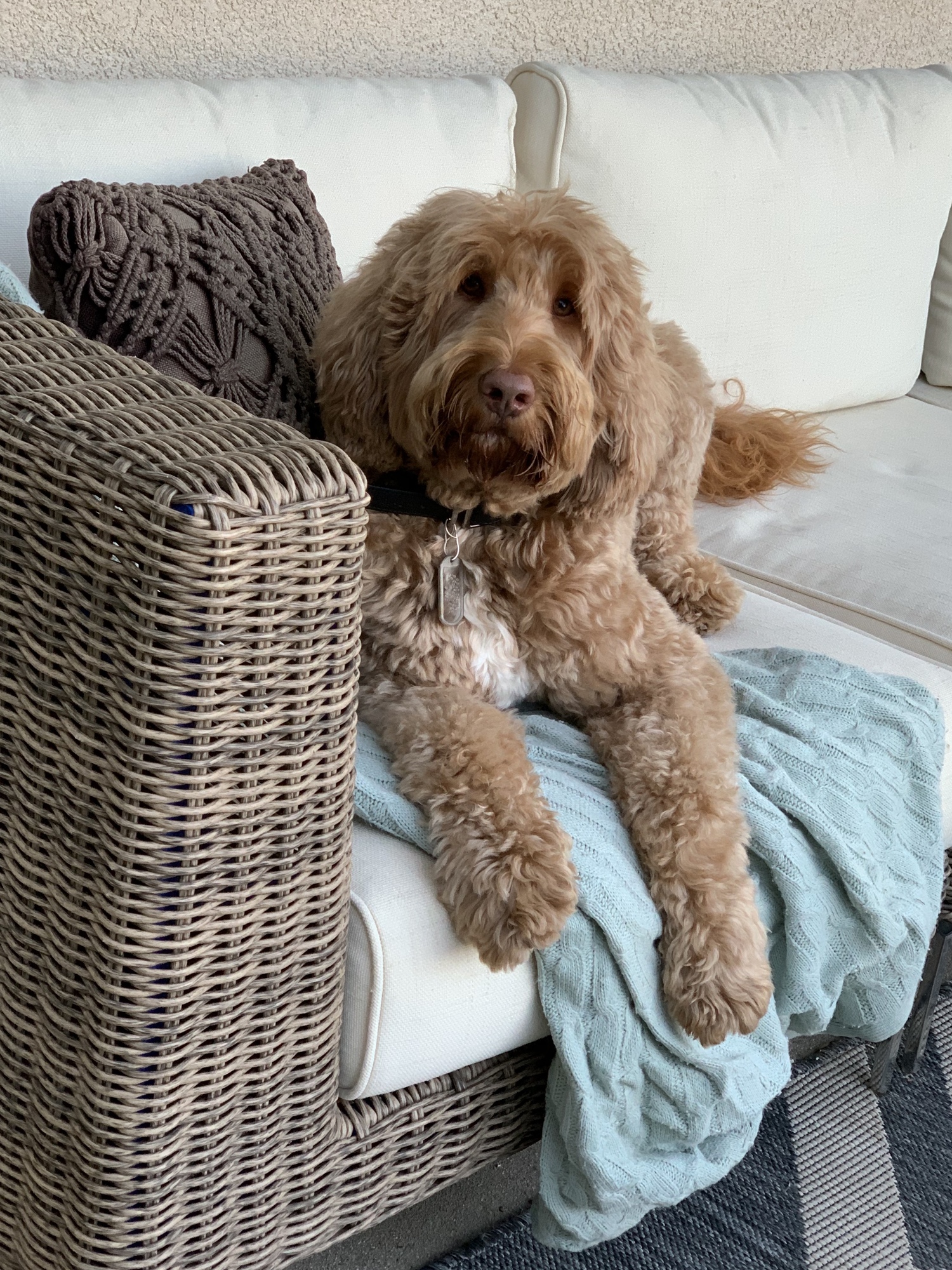 Santa Clarita Family Home - Photo 8