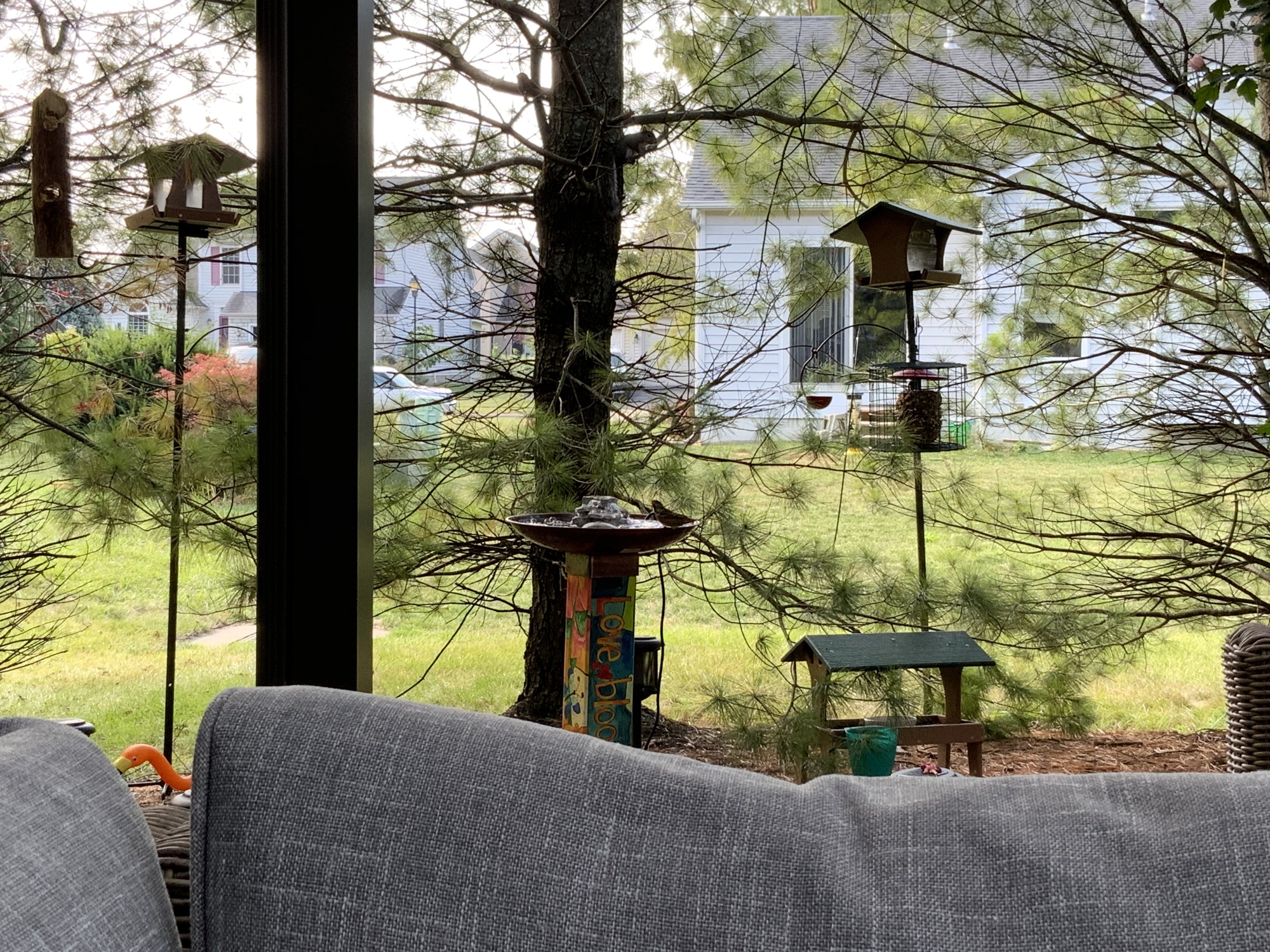 Lush, Multi-Purpose Patio Space in Central Ohio - Photo 5