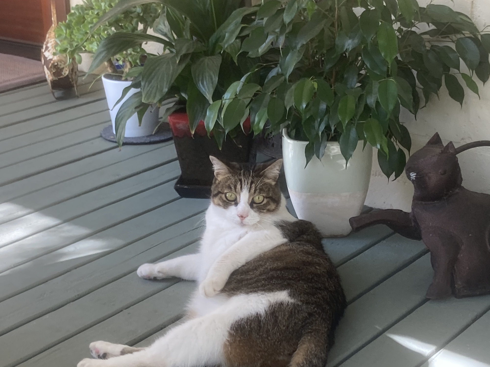 Garden Experience in Santa Barbara - Photo 6