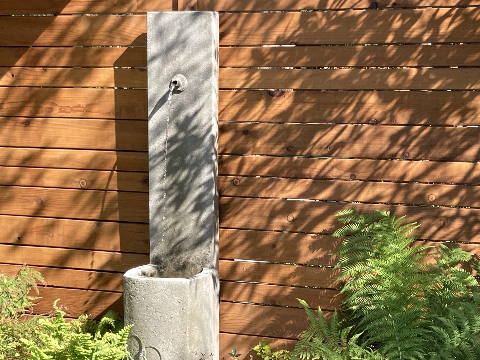 Garden Experience in Santa Barbara - Photo 8