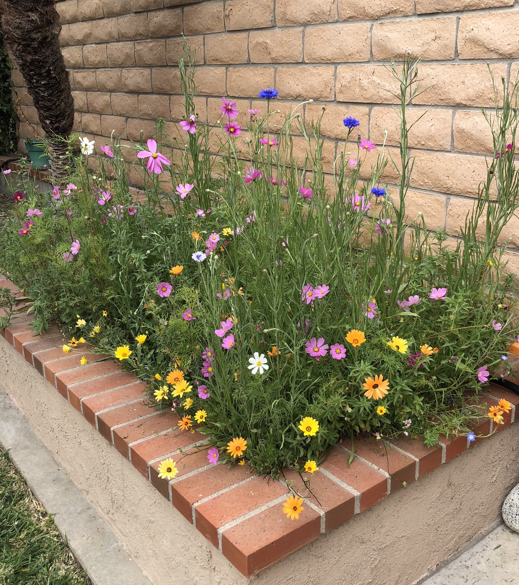 Peaceful Retreat in Irvine, California - Photo 9