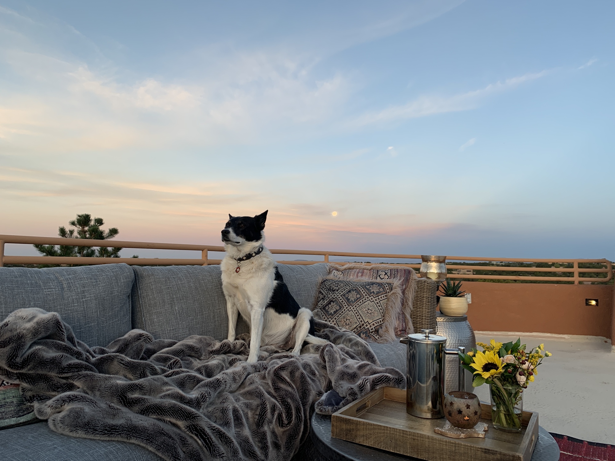 Enchanting Santa Fe Rooftop with 360 Horizon Views - Photo 8