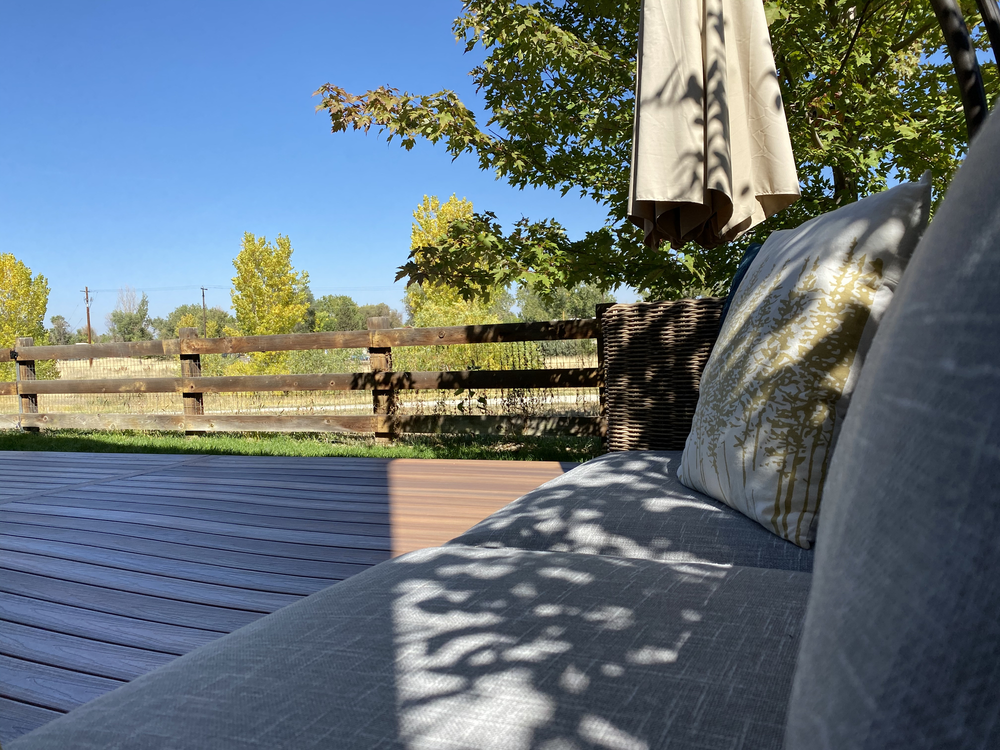 Mountain Views in Erie, CO - Photo 6