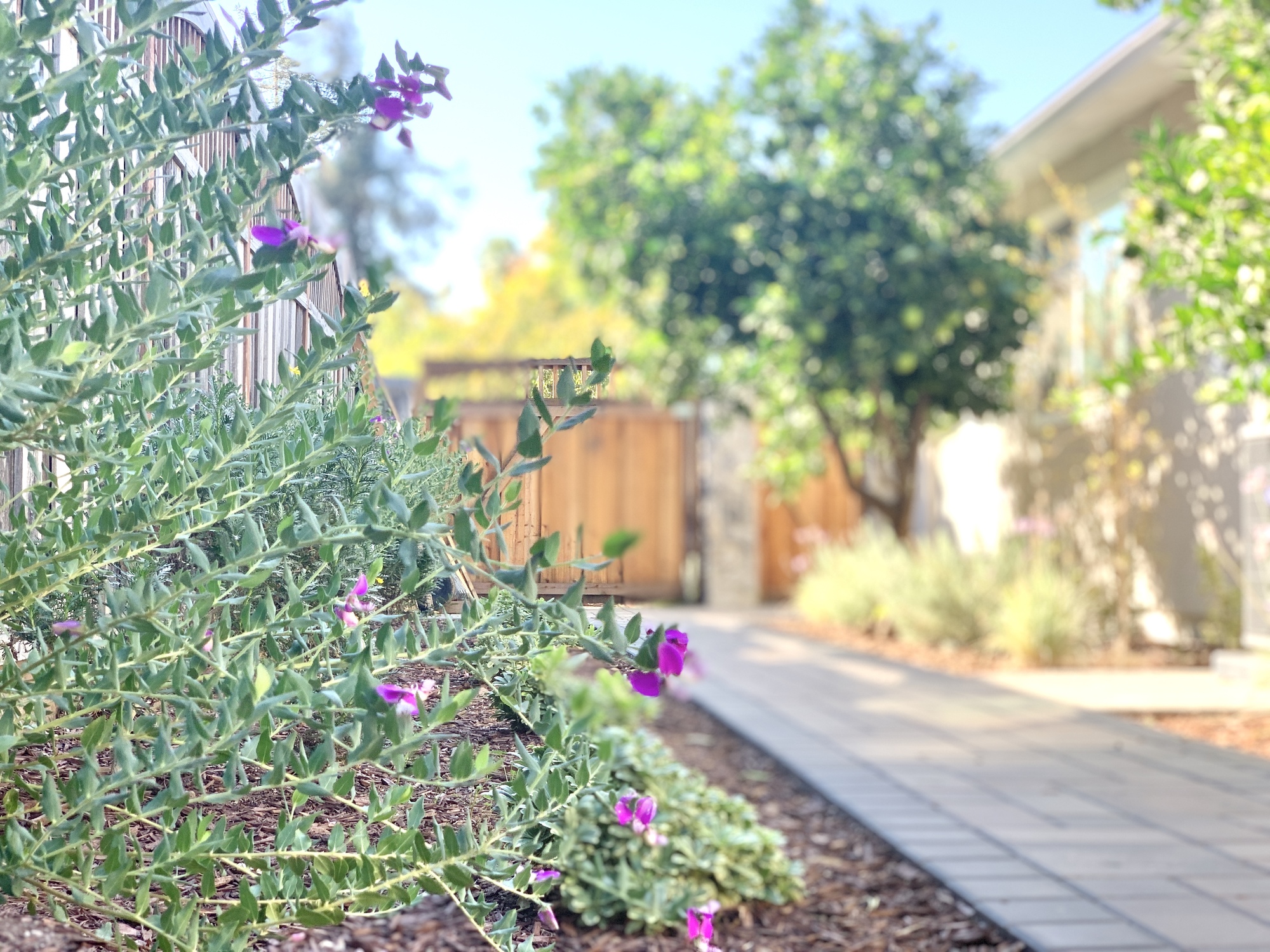 Rustic Farmhouse Family Room in San Jose - Photo 3