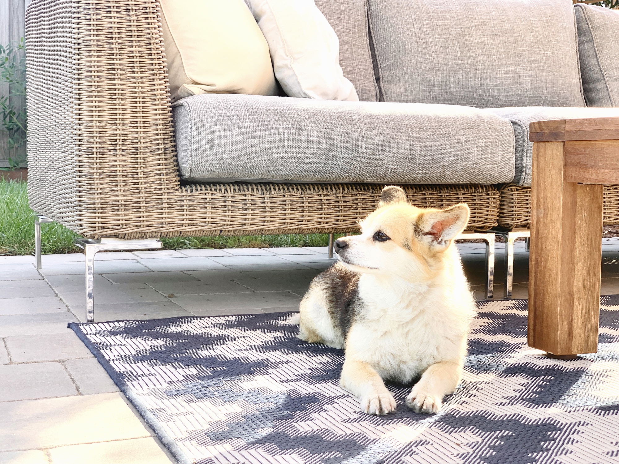 Rustic Farmhouse Family Room in San Jose - Photo 5