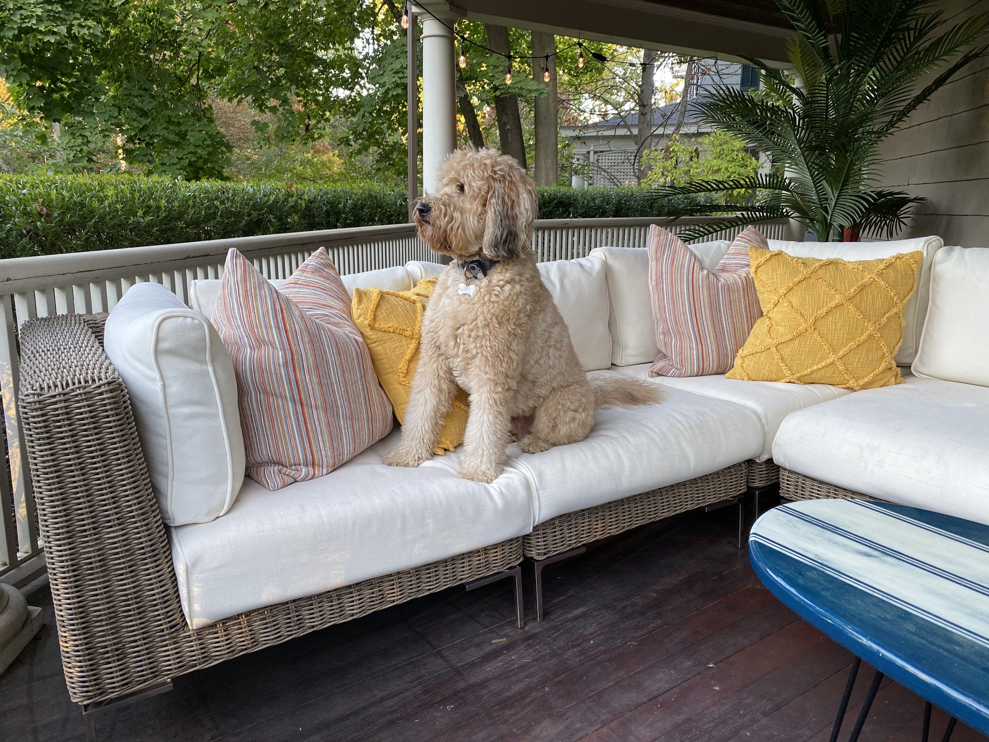 Eclectic Wrap-Around Porch in Glen Ridge, NJ - Photo 2
