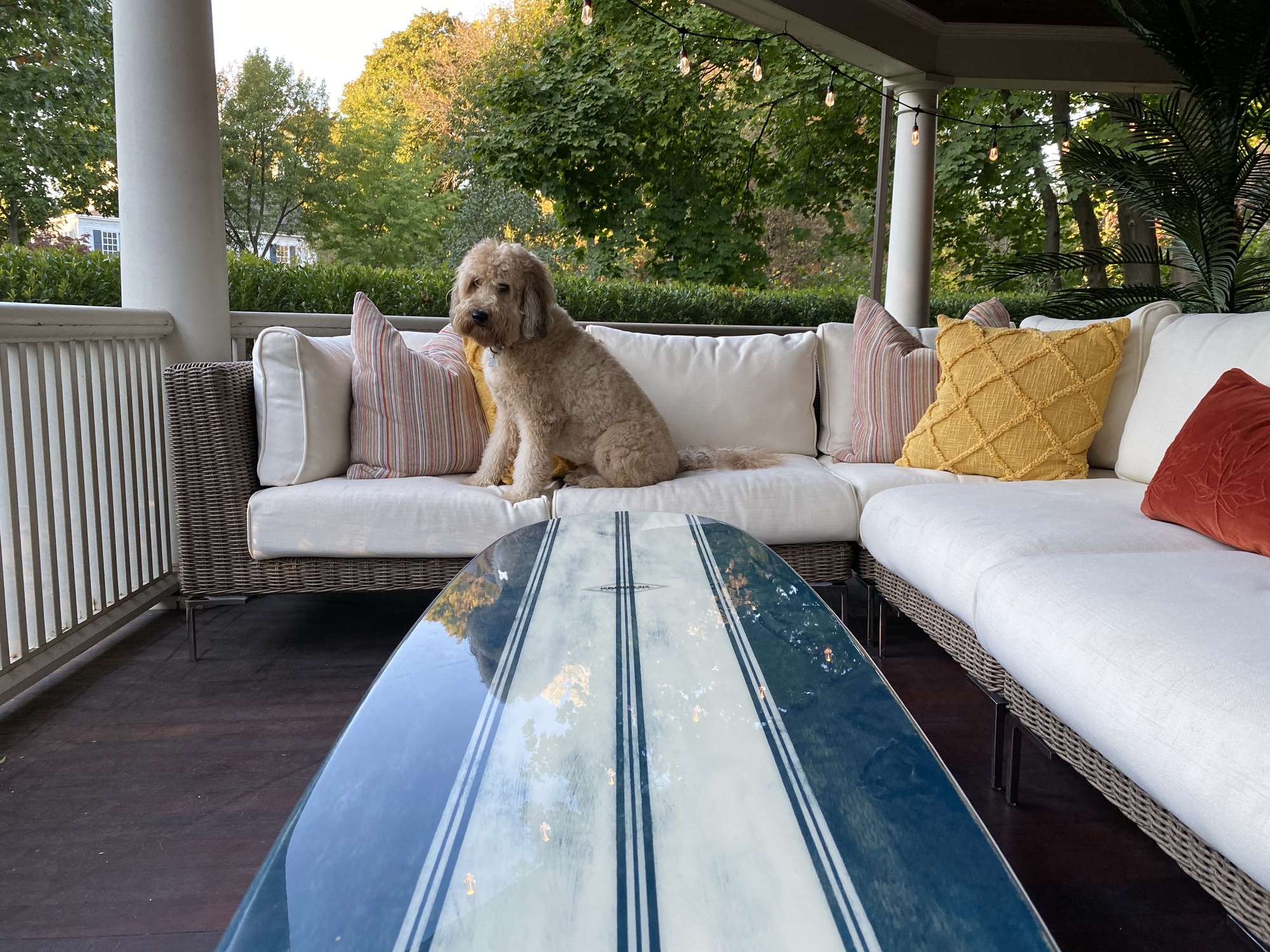 Eclectic Wrap-Around Porch in Glen Ridge, NJ - Photo 3