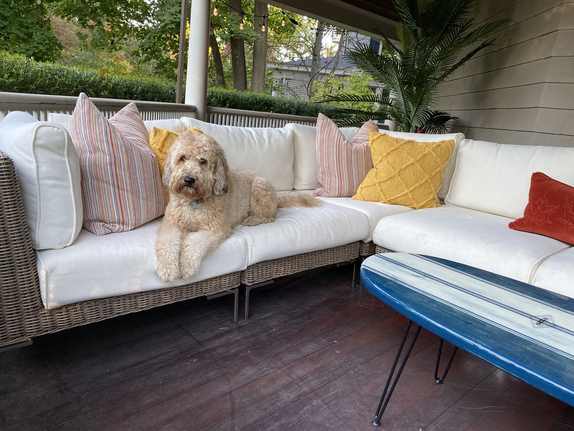 Eclectic Wrap-Around Porch in Glen Ridge, NJ - Photo 7