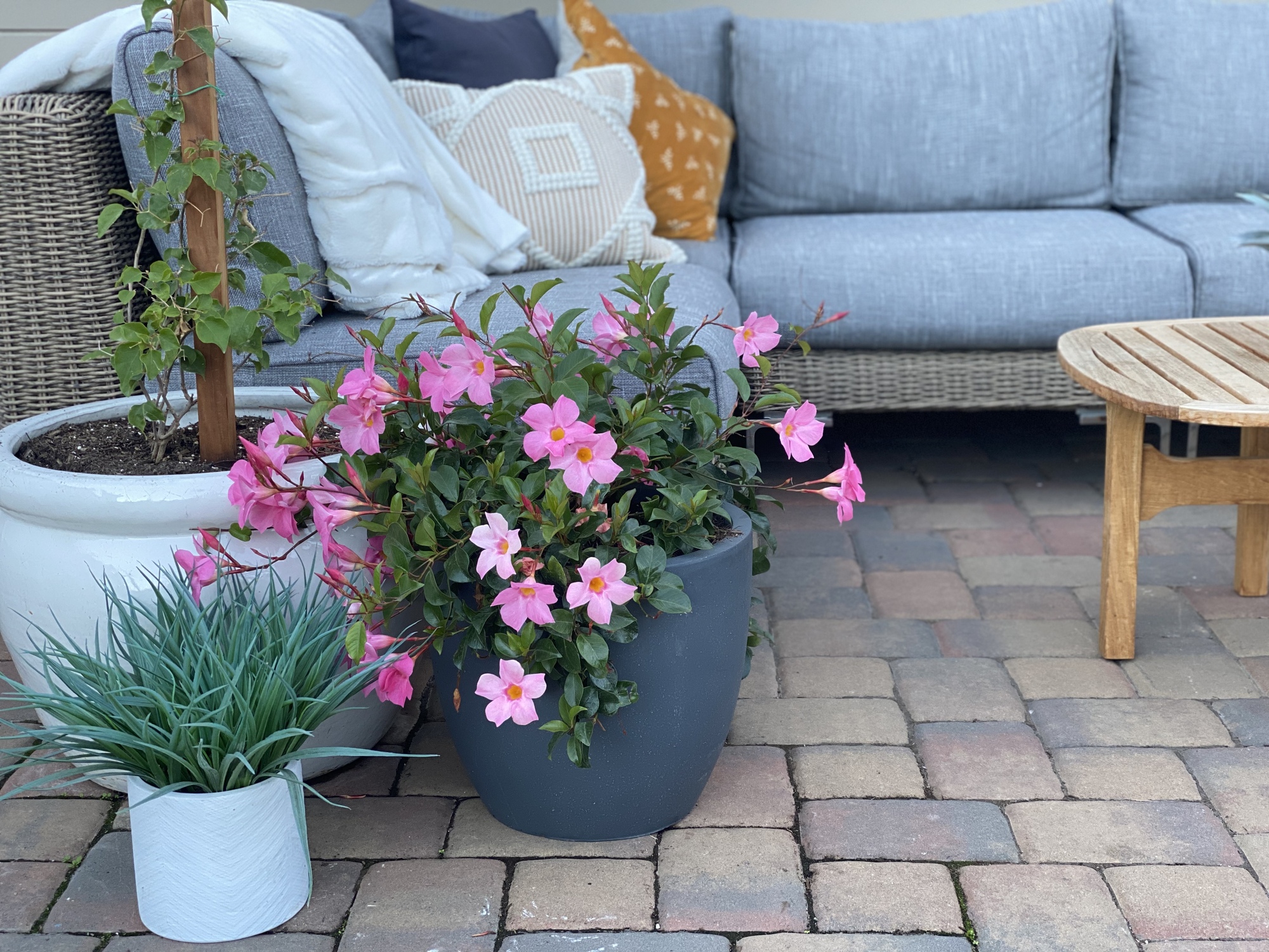 A Space For Family Traditions in Menlo Park - Photo 2