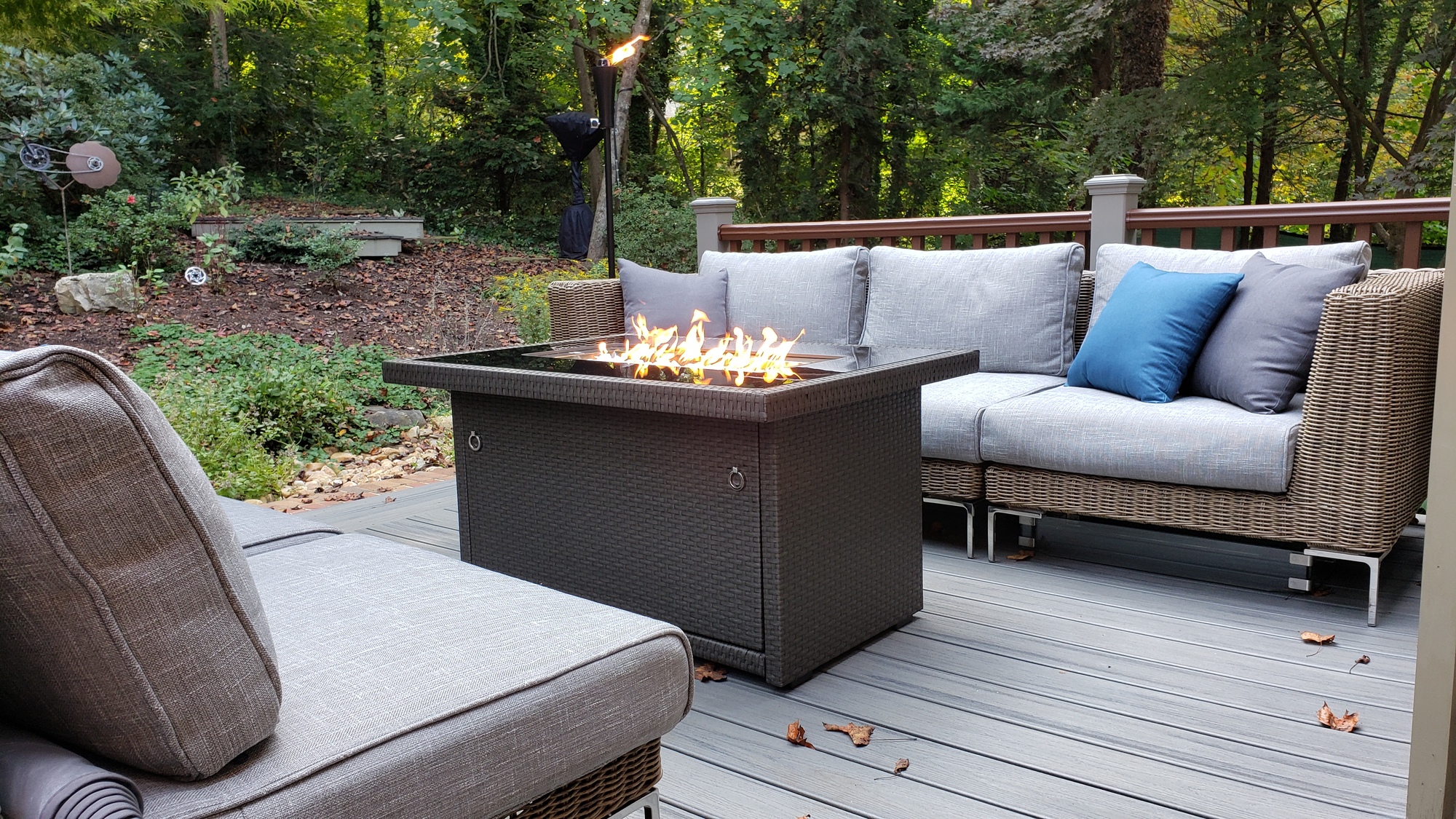 Natural Beauty in Winston Salem, NC - Photo 3