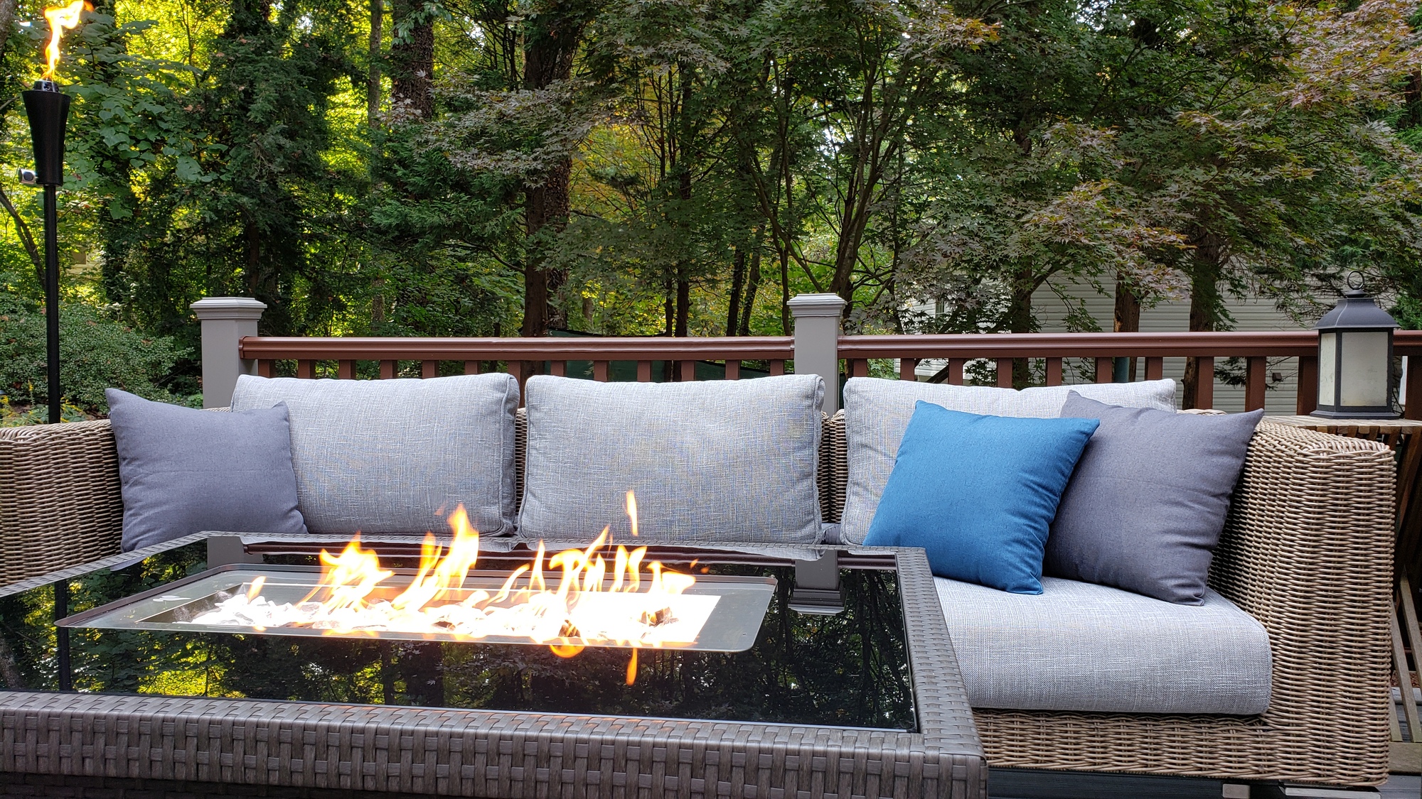 Natural Beauty in Winston Salem, NC - Photo 5