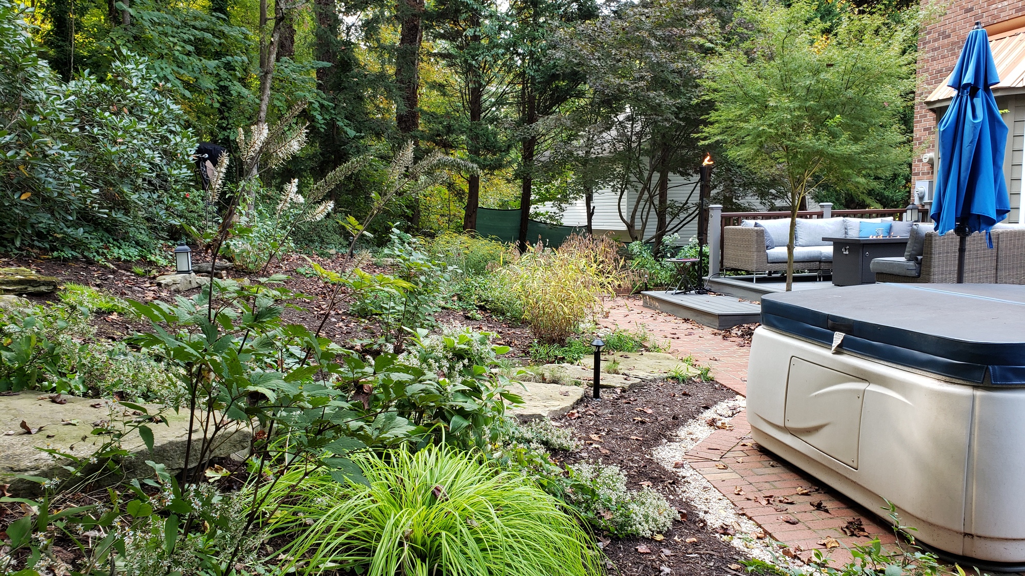 Natural Beauty in Winston Salem, NC - Photo 10