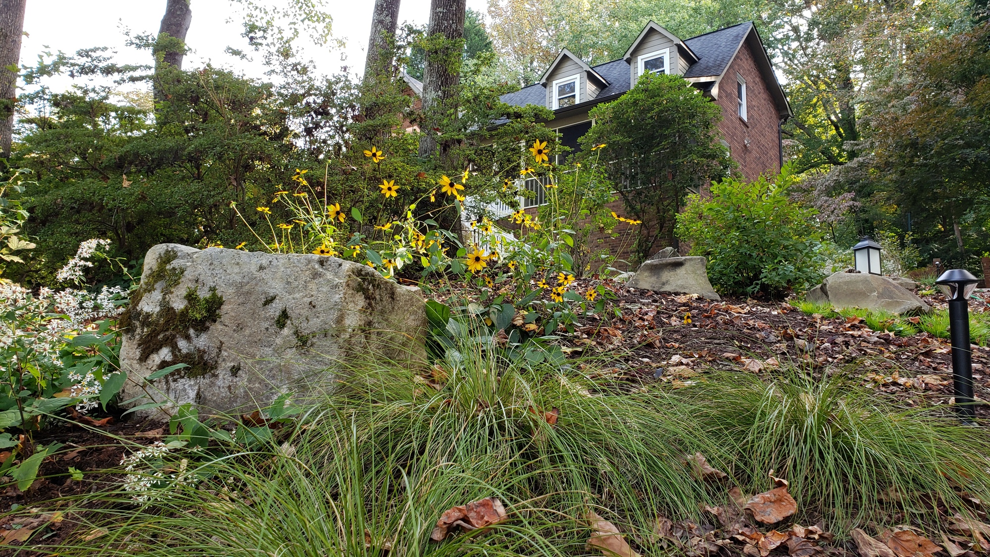 Natural Beauty in Winston Salem, NC - Photo 11