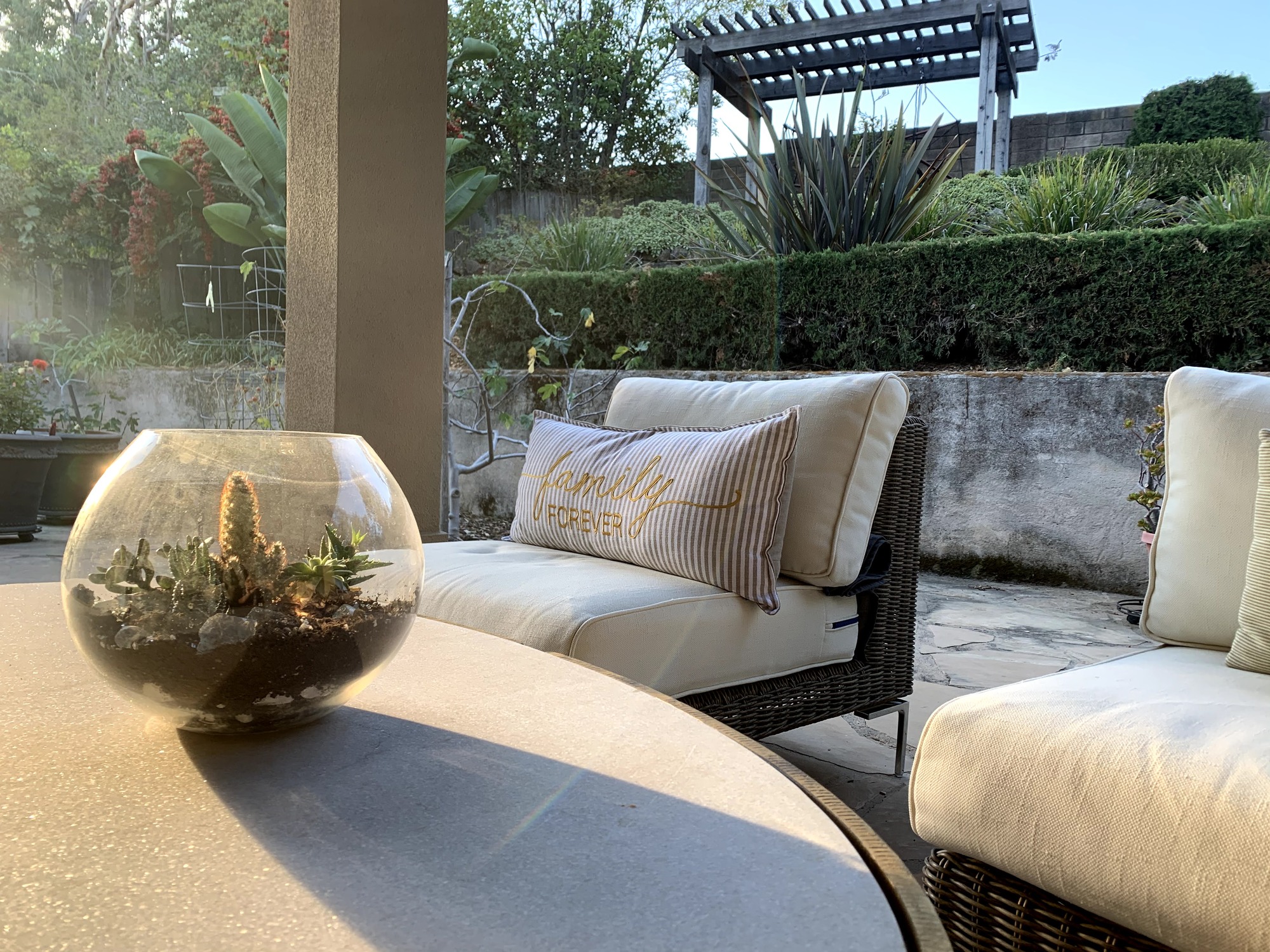 A Place To Play in Los Altos, CA - Photo 3