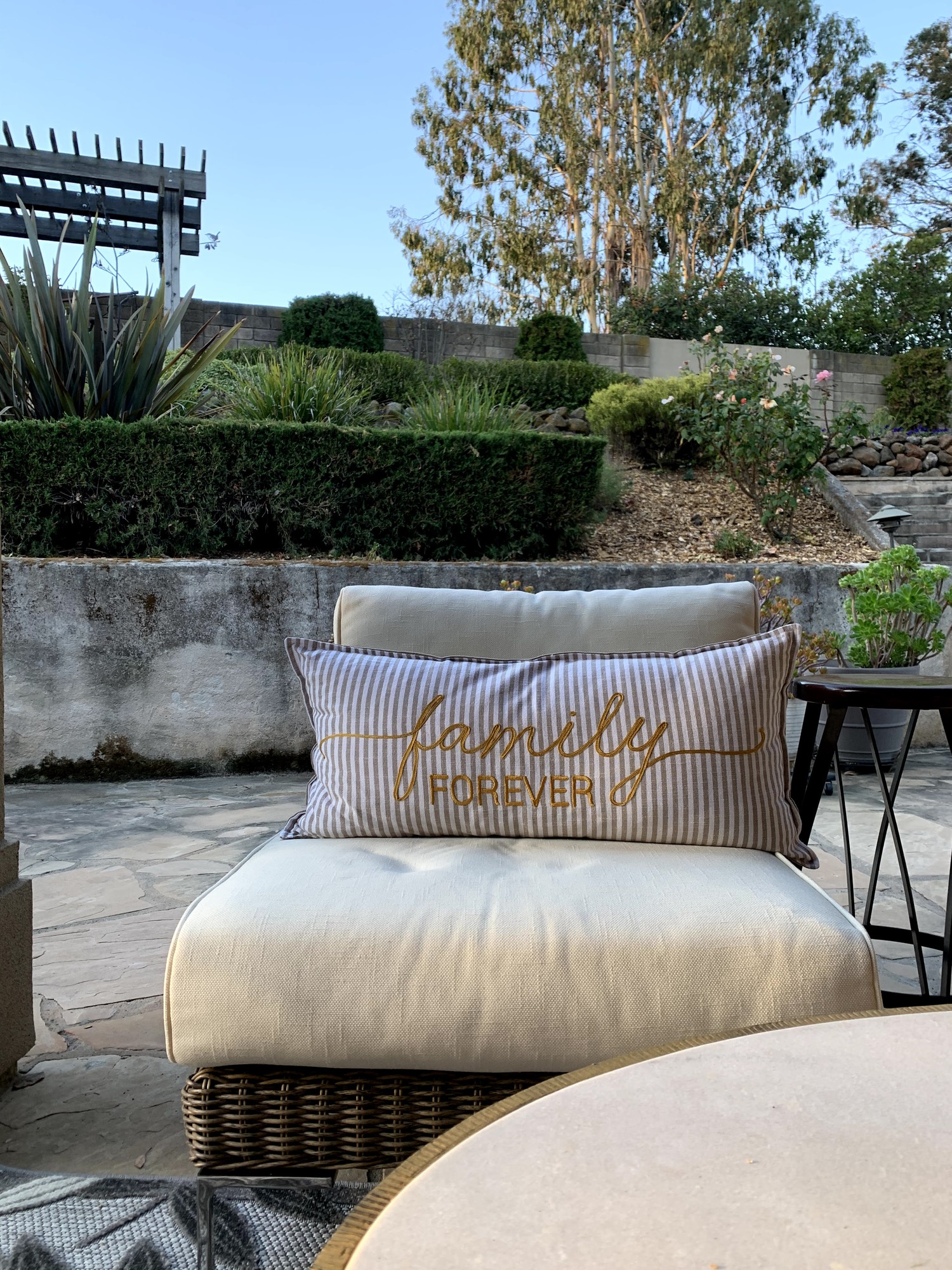 A Place To Play in Los Altos, CA - Photo 5