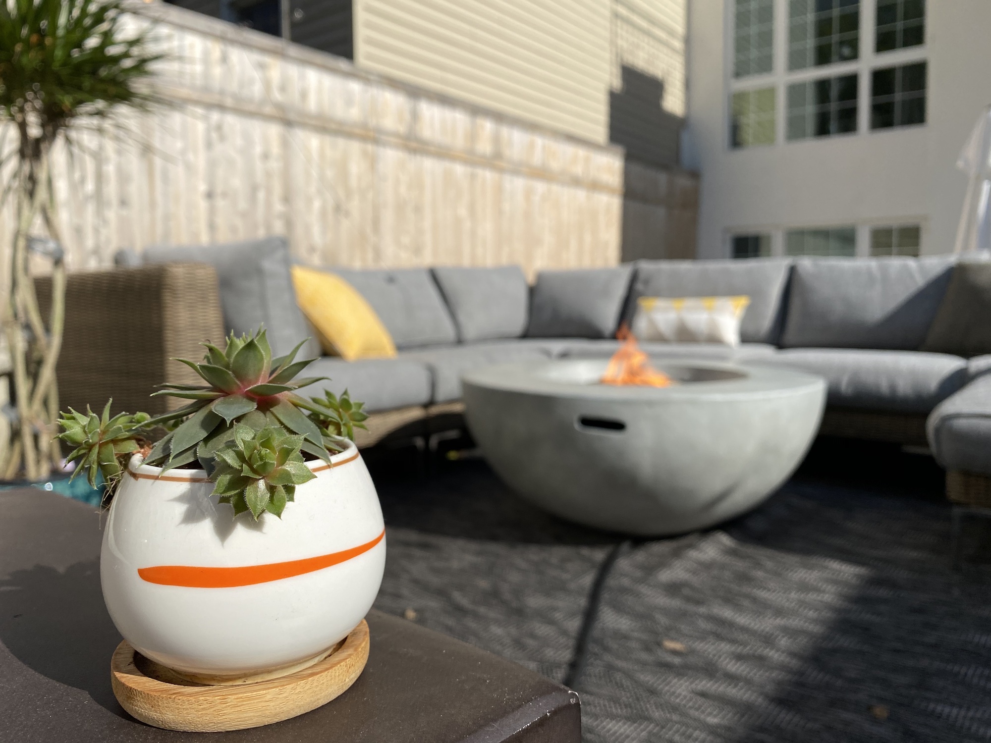 Coveted Backyard Space in Brooklyn - Photo 2