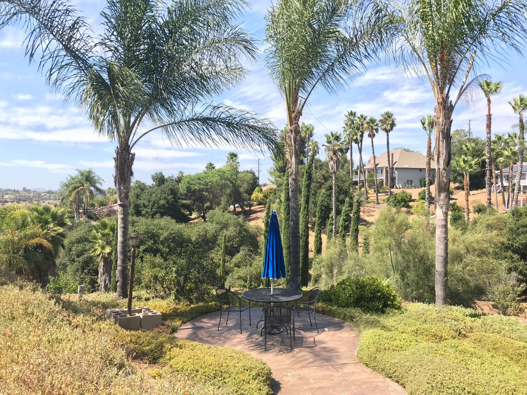 Neo-Eclectic Ranch in Escondido - Gallery photo 7 of 13