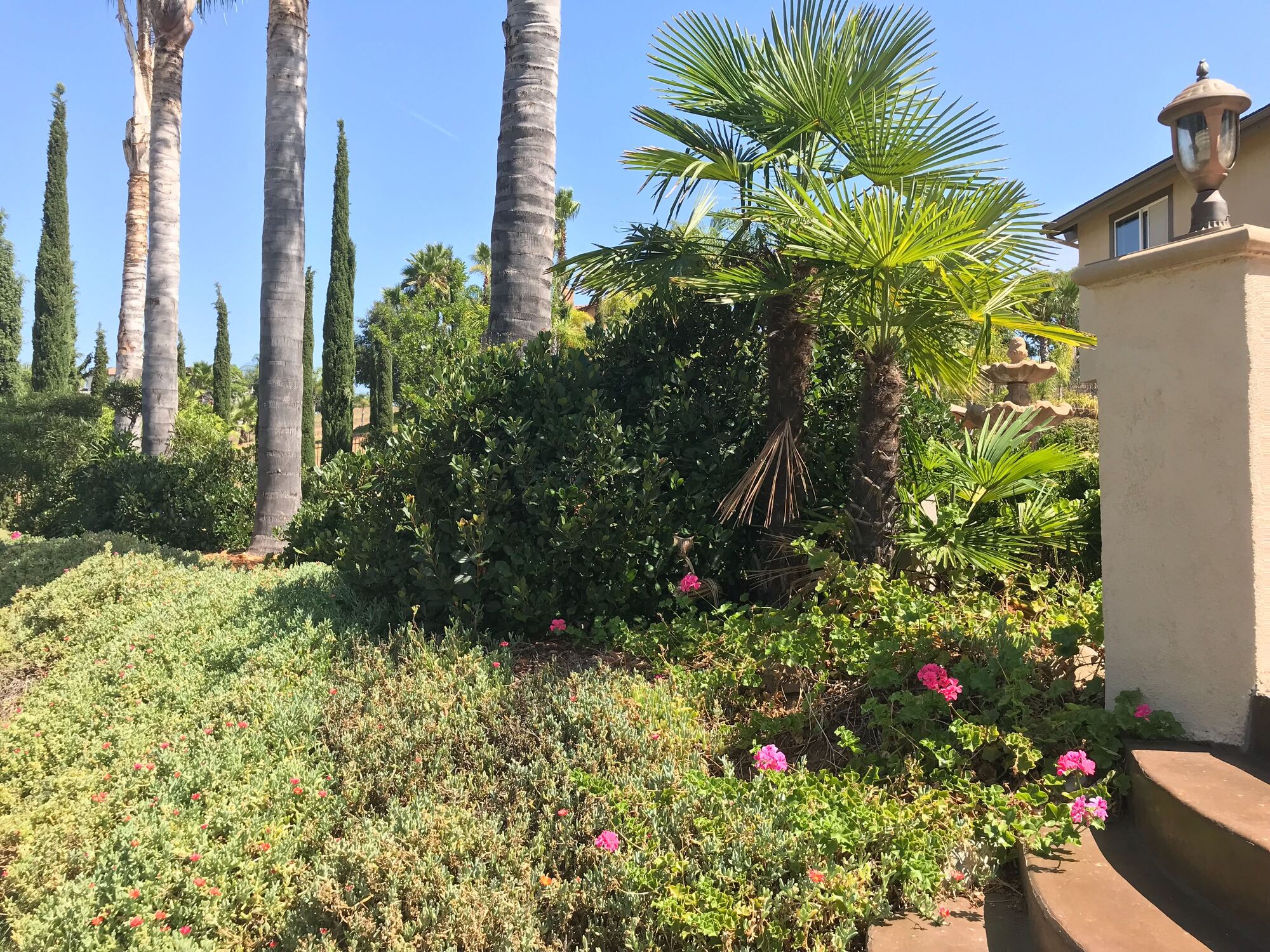 Neo-Eclectic Ranch in Escondido - Gallery photo 8 of 13
