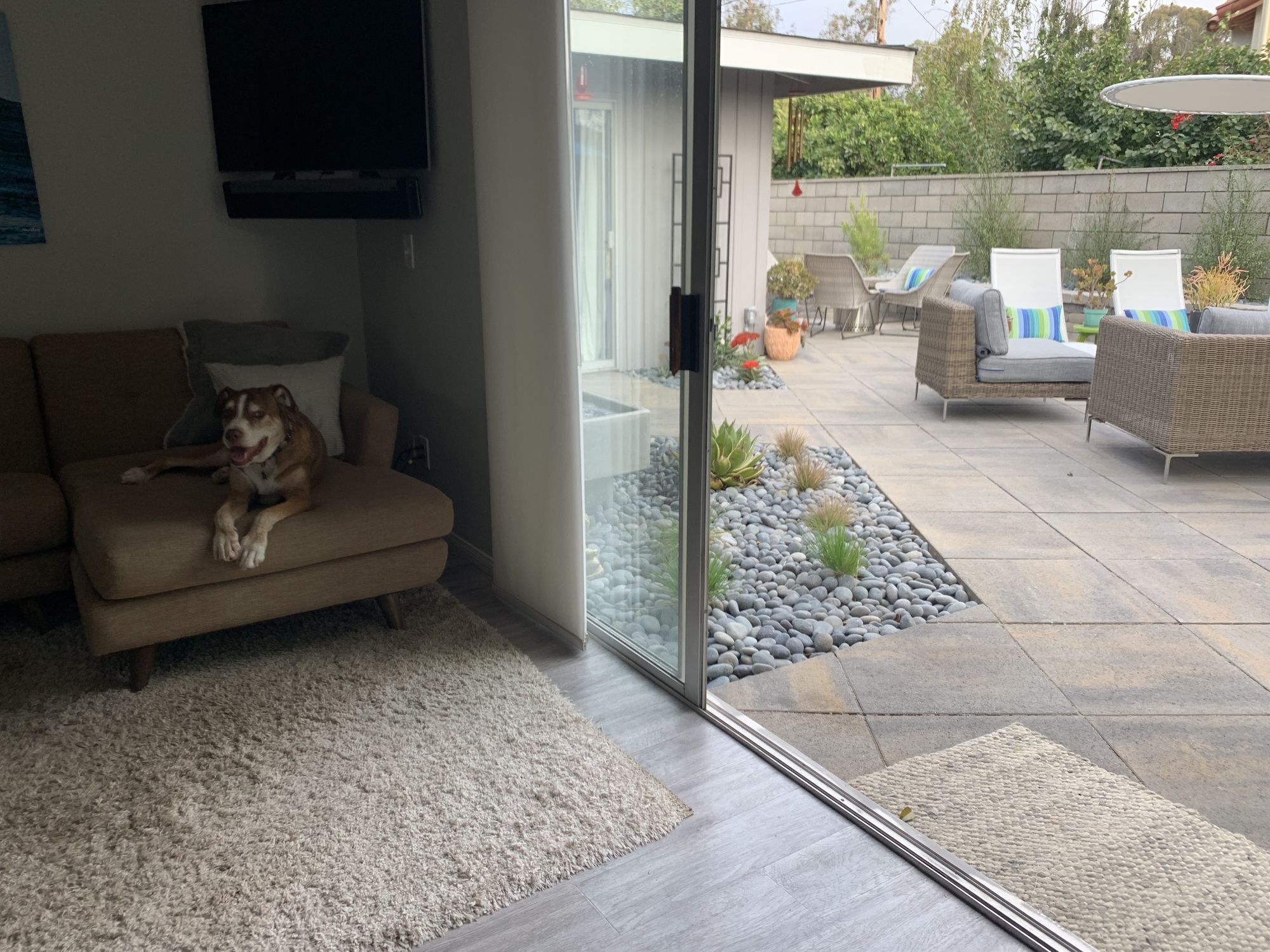 Mid-Century Modern Respite in Ventura - Photo 8