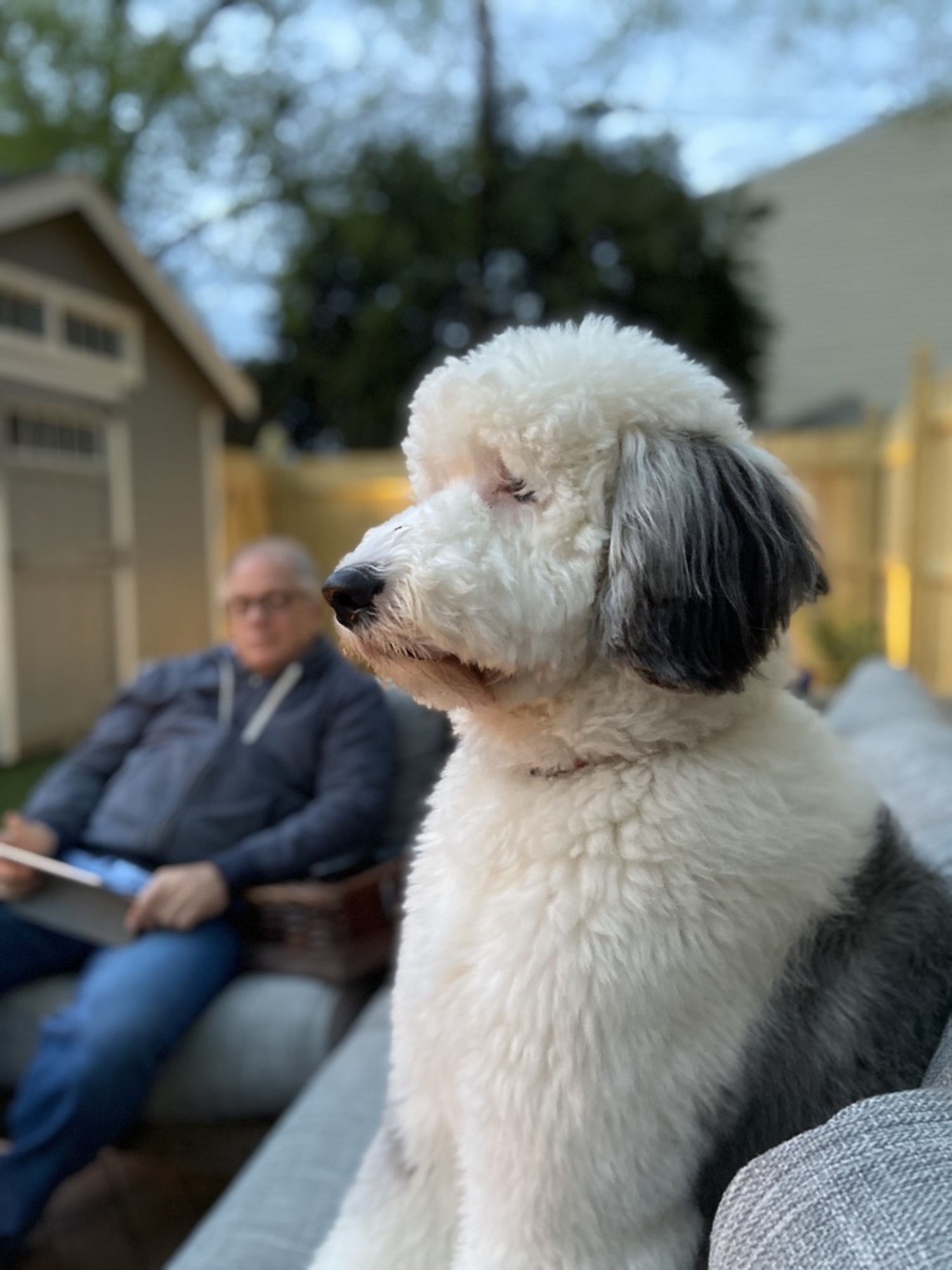 Comfy Urban Backyard in the Heart of Richmond, VA - Photo 8