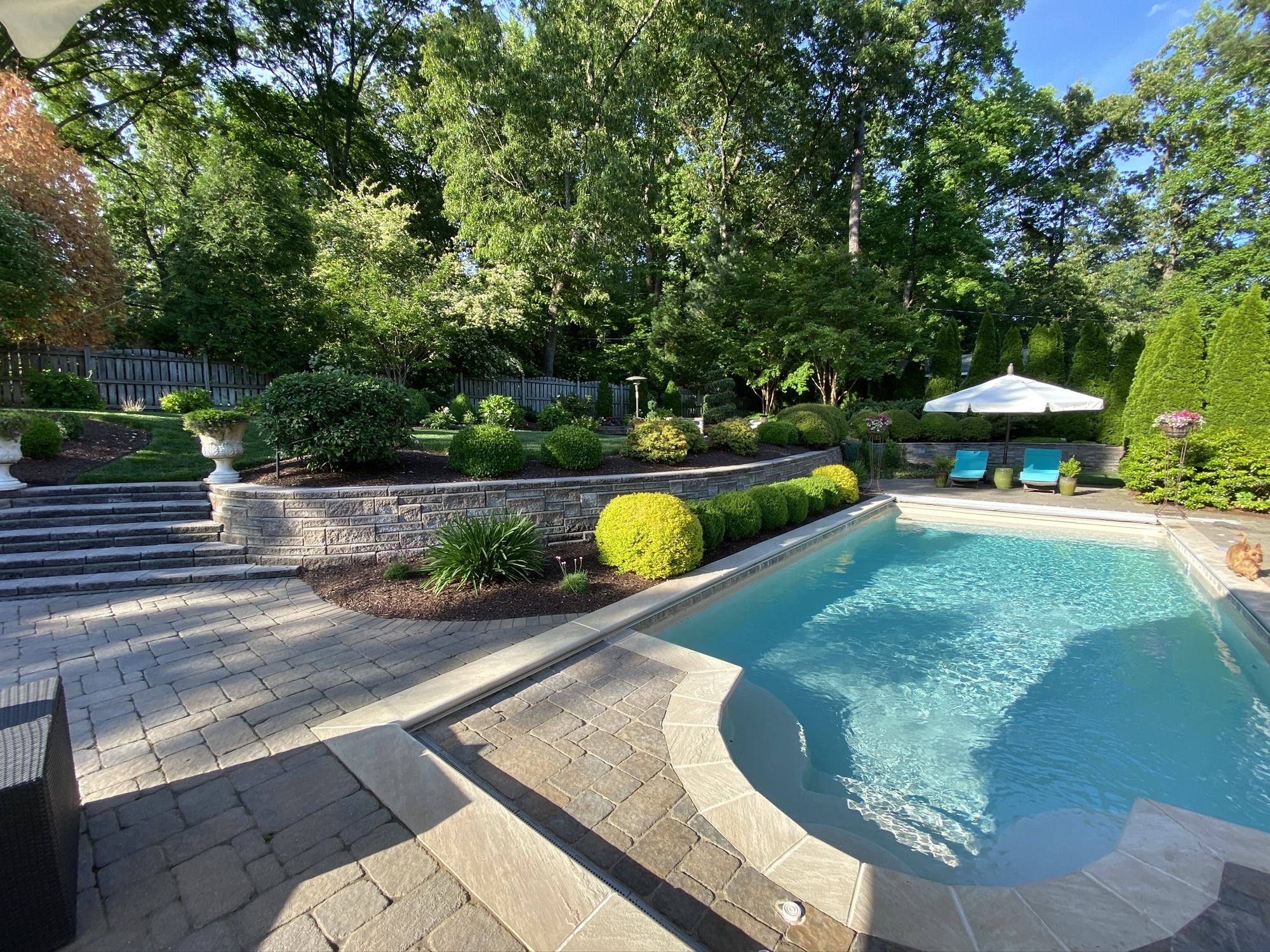 Poolside Retreat in the Heart of Richmond - Photo 7
