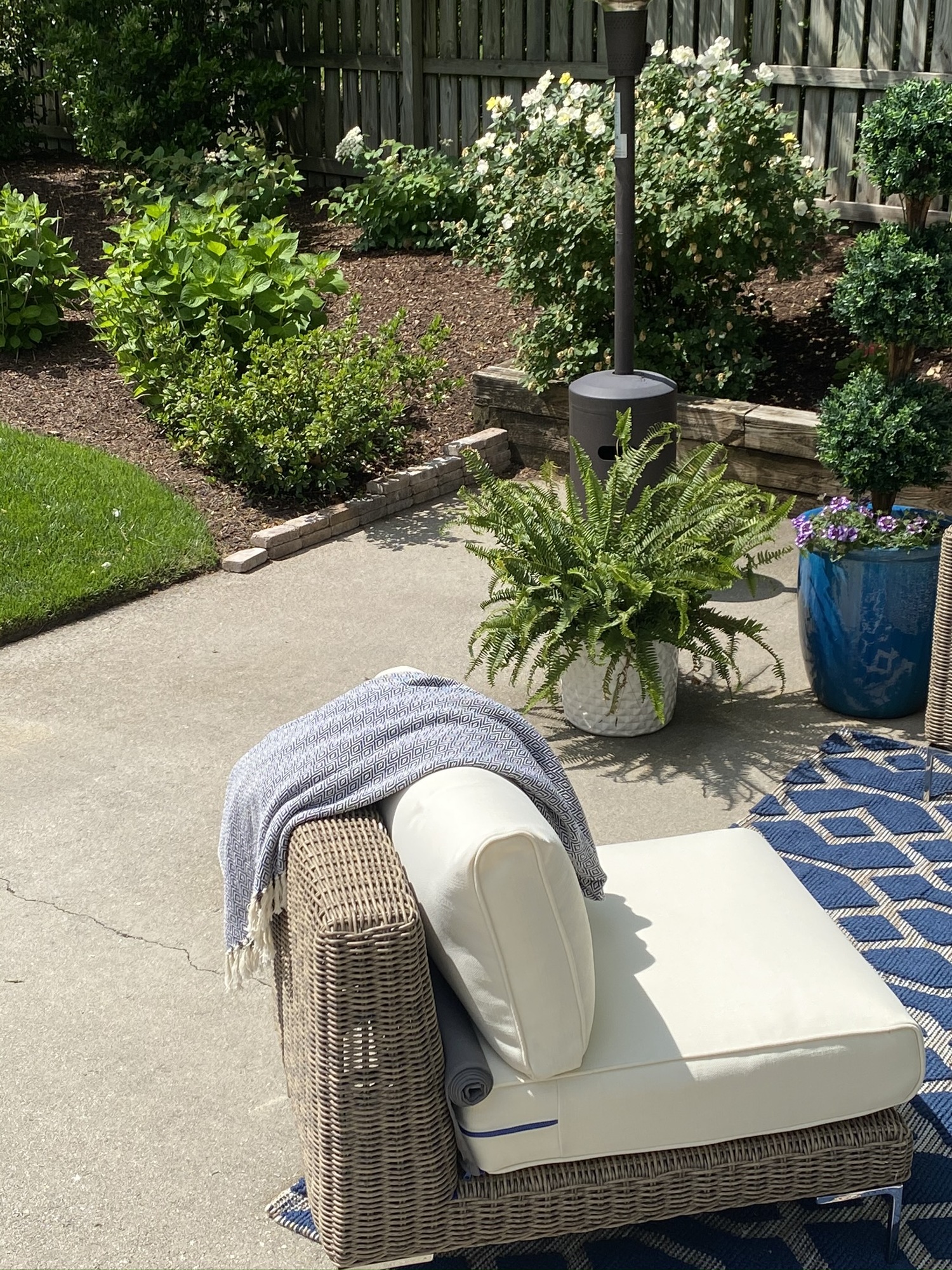 Poolside Retreat in the Heart of Richmond - Photo 8