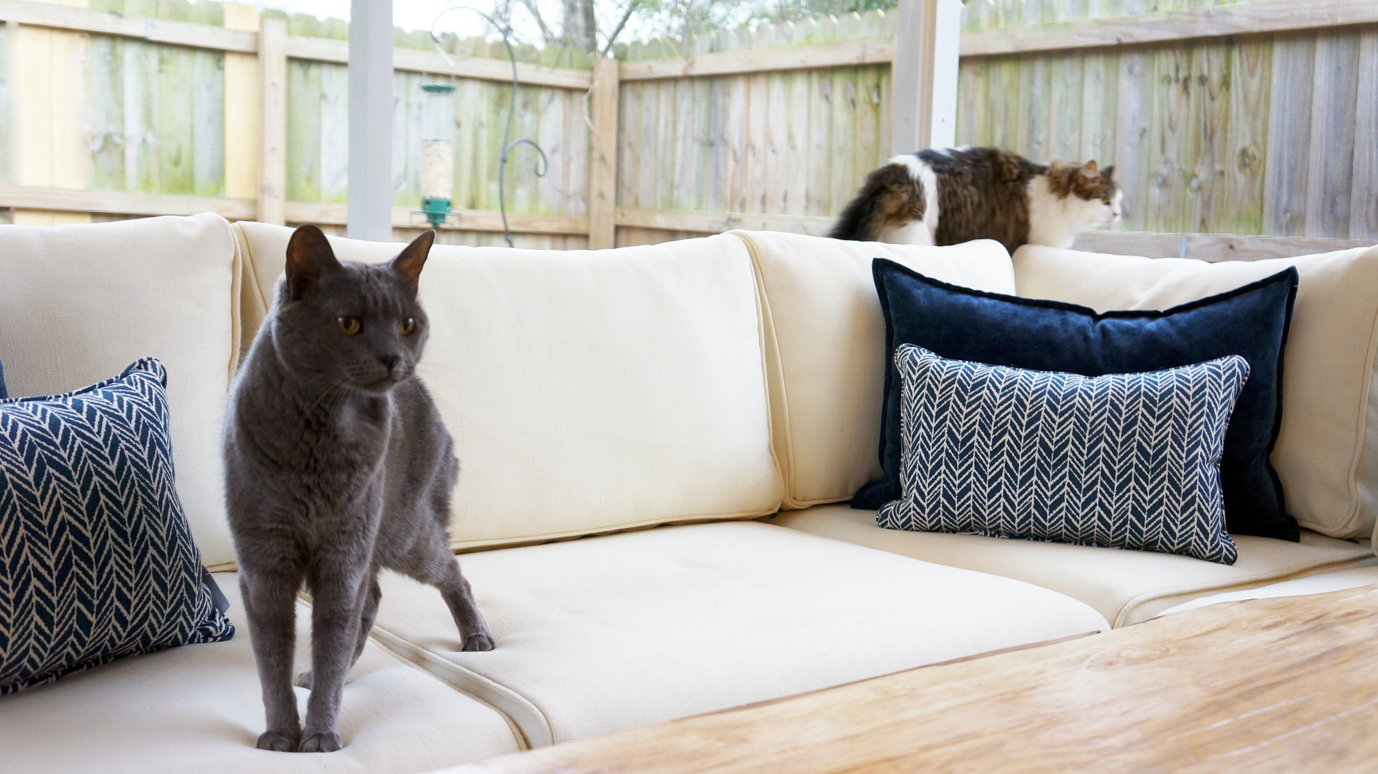 Foodie Patio Paradise in Pensacola, FL - Photo 3