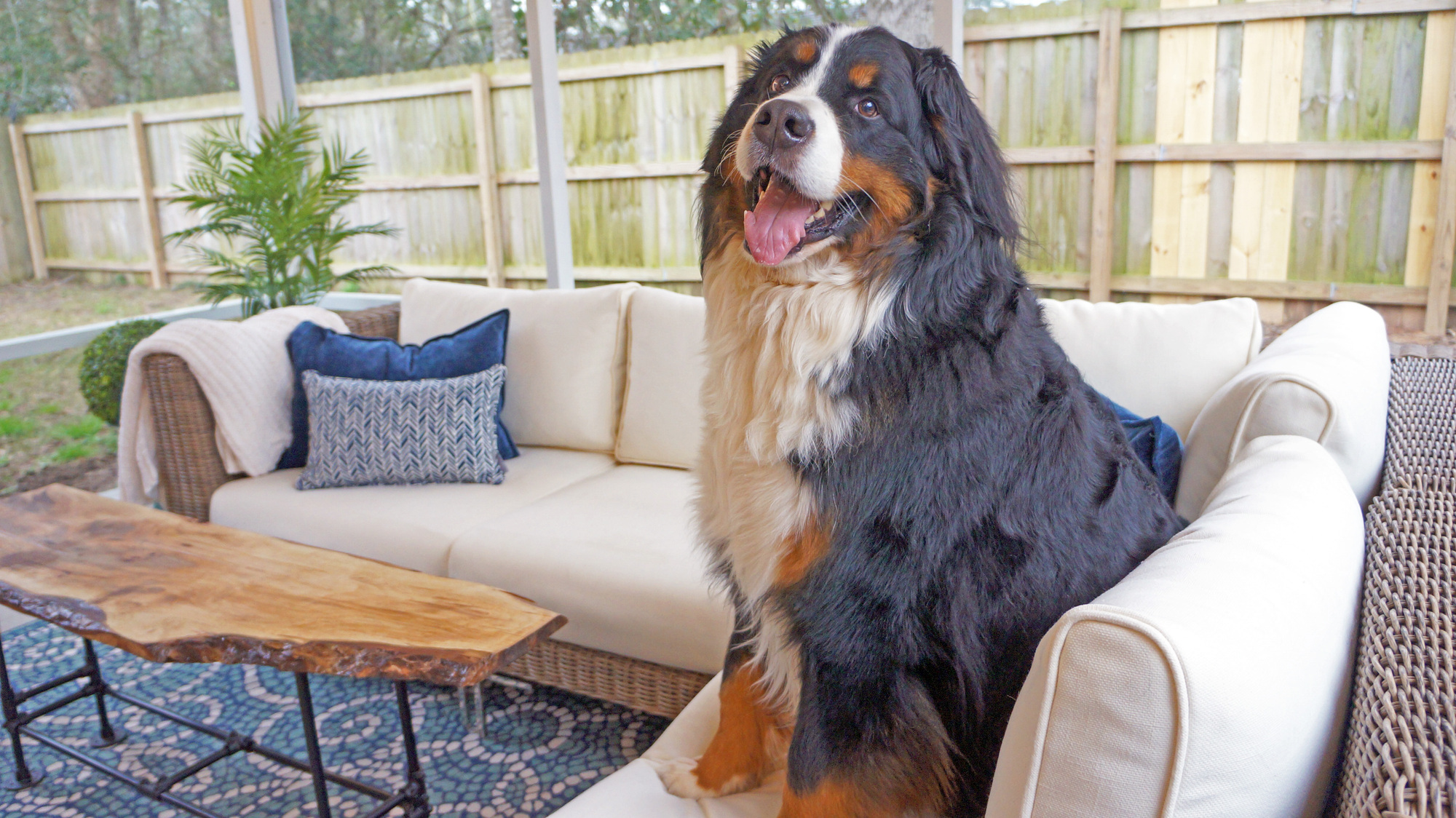 Foodie Patio Paradise in Pensacola, FL - Photo 4