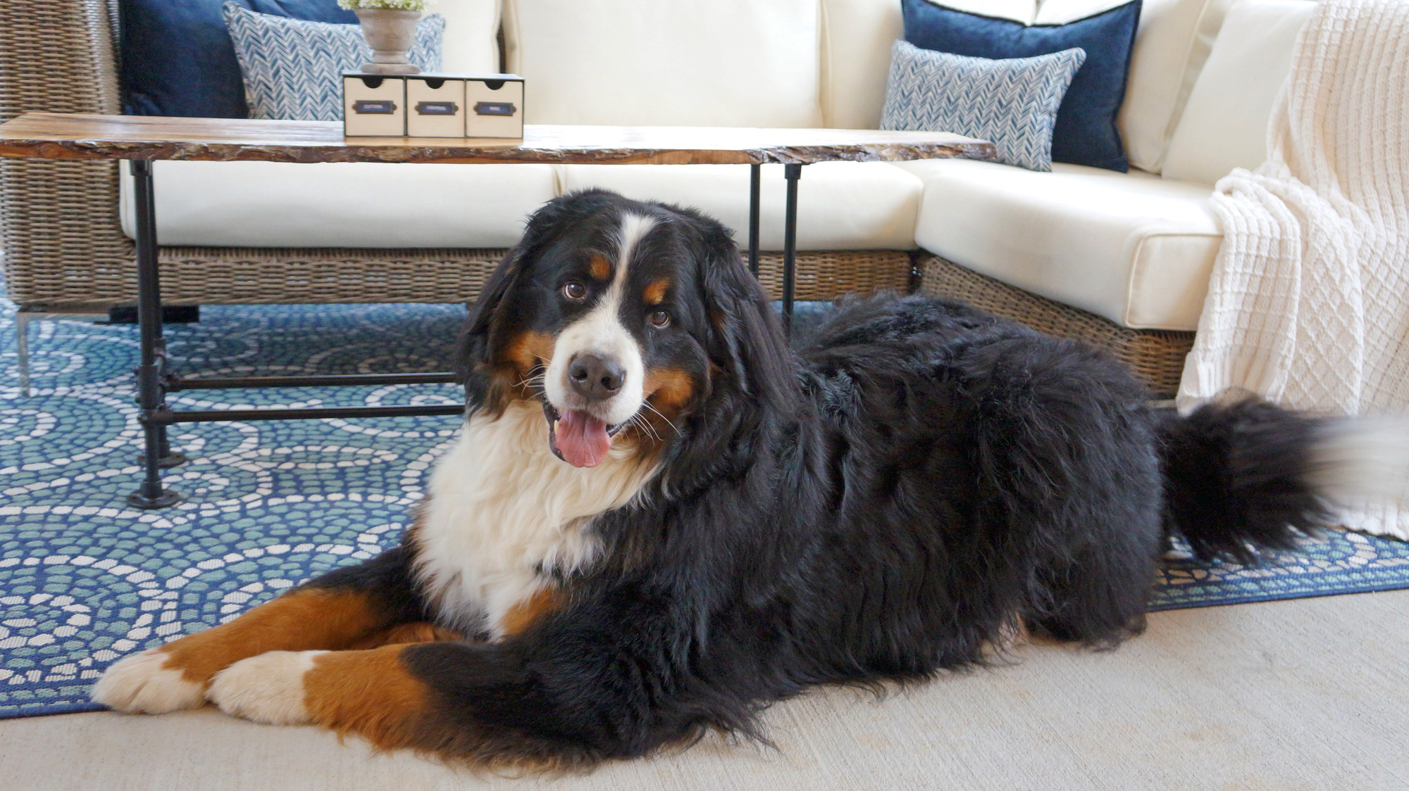 Foodie Patio Paradise in Pensacola, FL - Photo 9