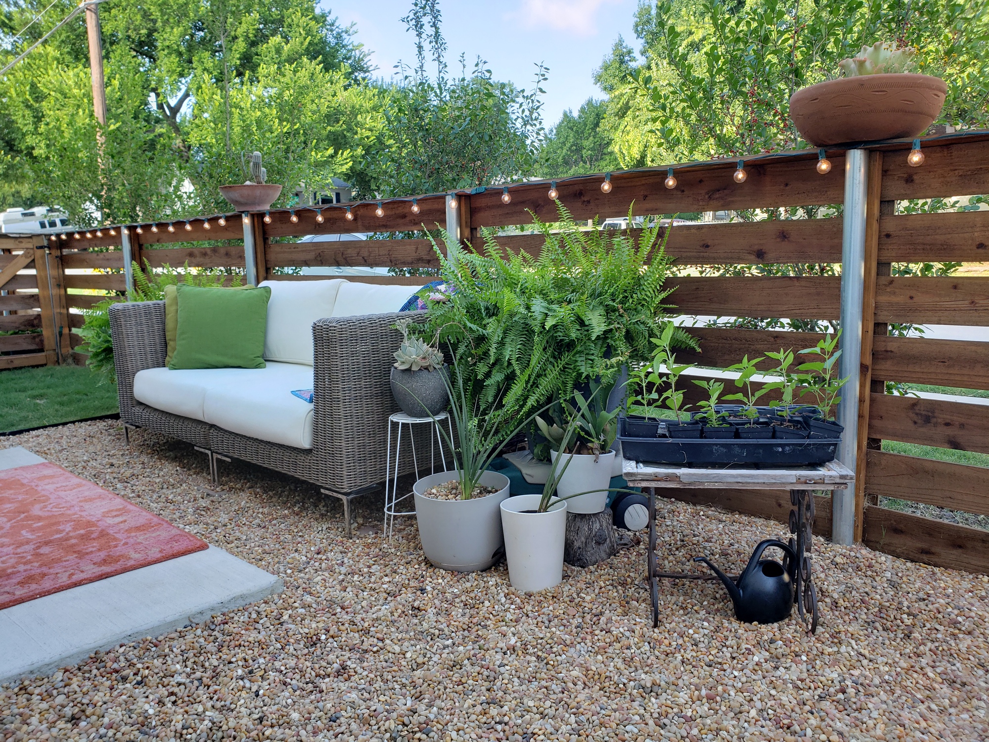 Urban Side-Yard in Fort Worth, TX  - Photo 3