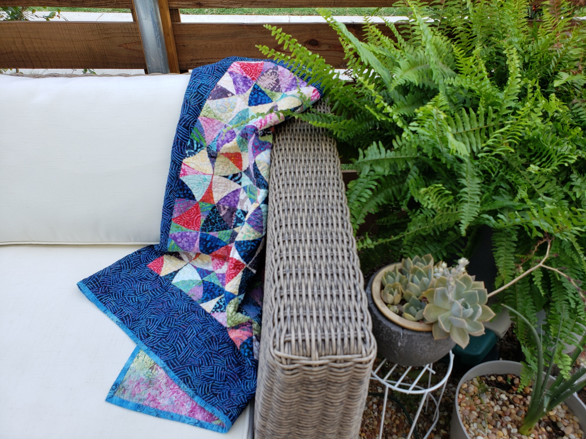 Urban Side-Yard in Fort Worth, TX  - Photo 4