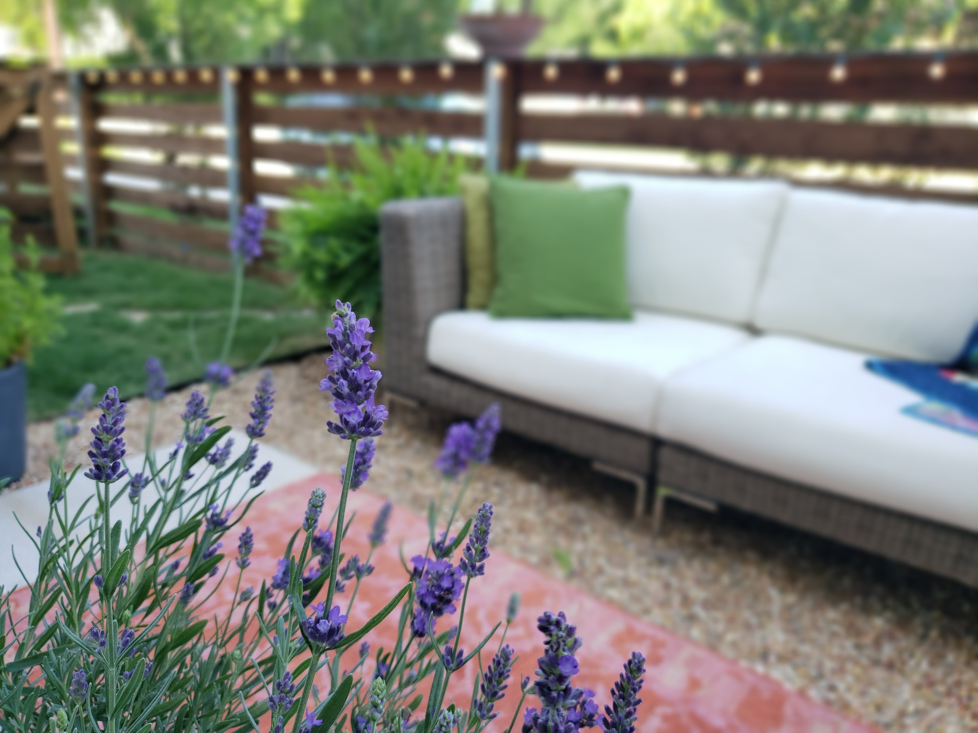 Urban Side-Yard in Fort Worth, TX  - Photo 7