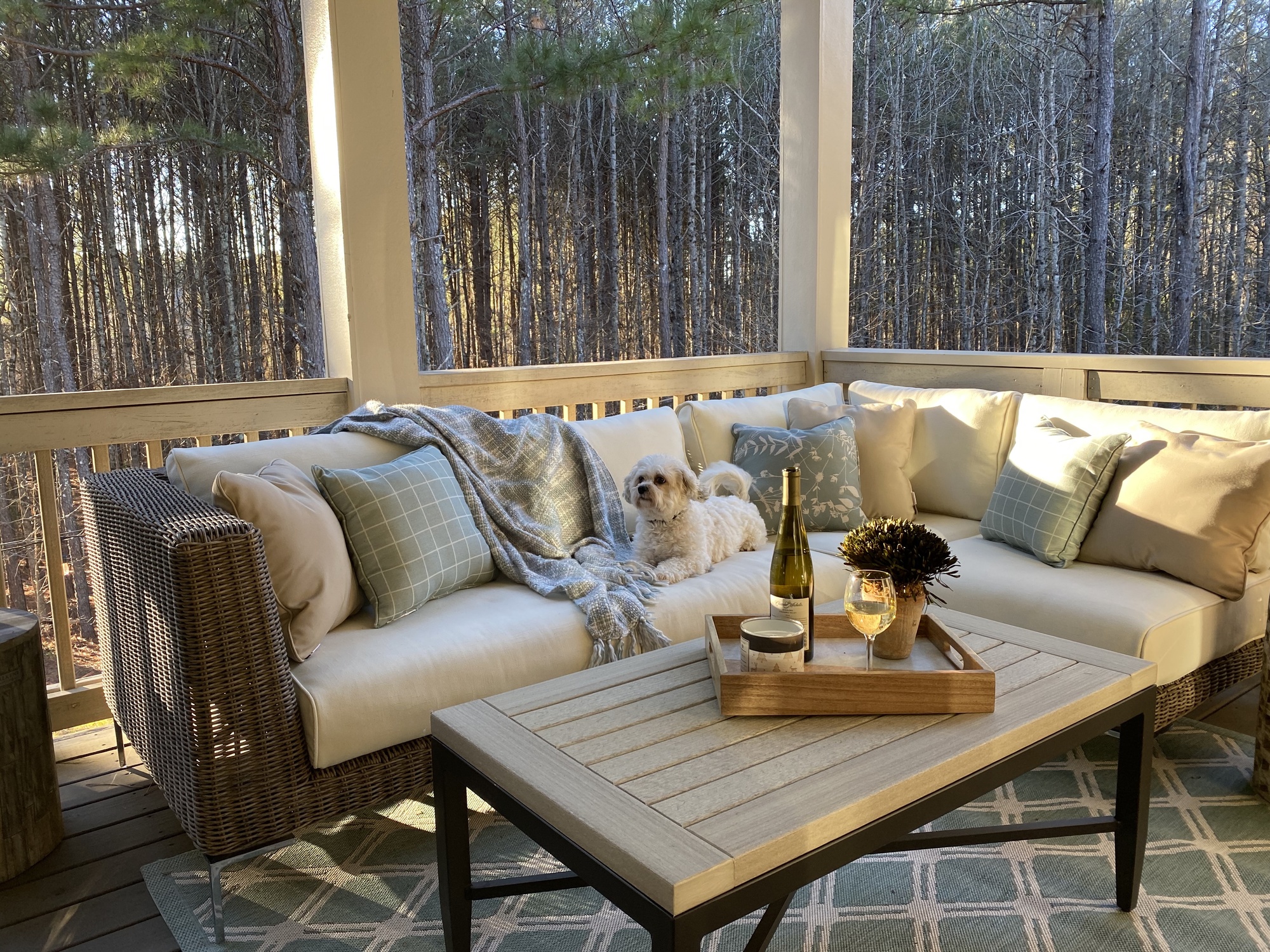 All-Year Deck in Tyrone, Georgia - Photo 7