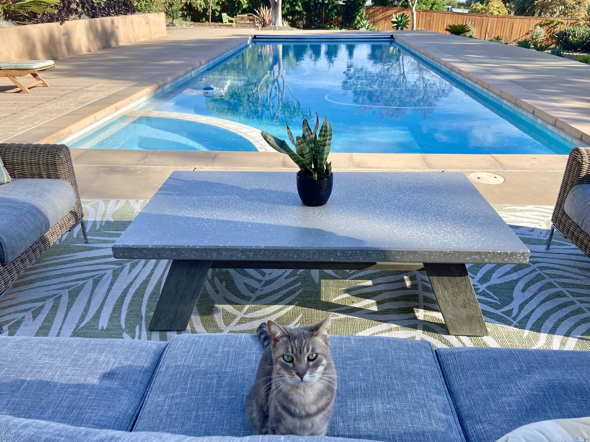 Earthy, Relaxing Pool Deck in Southern California - Photo 6