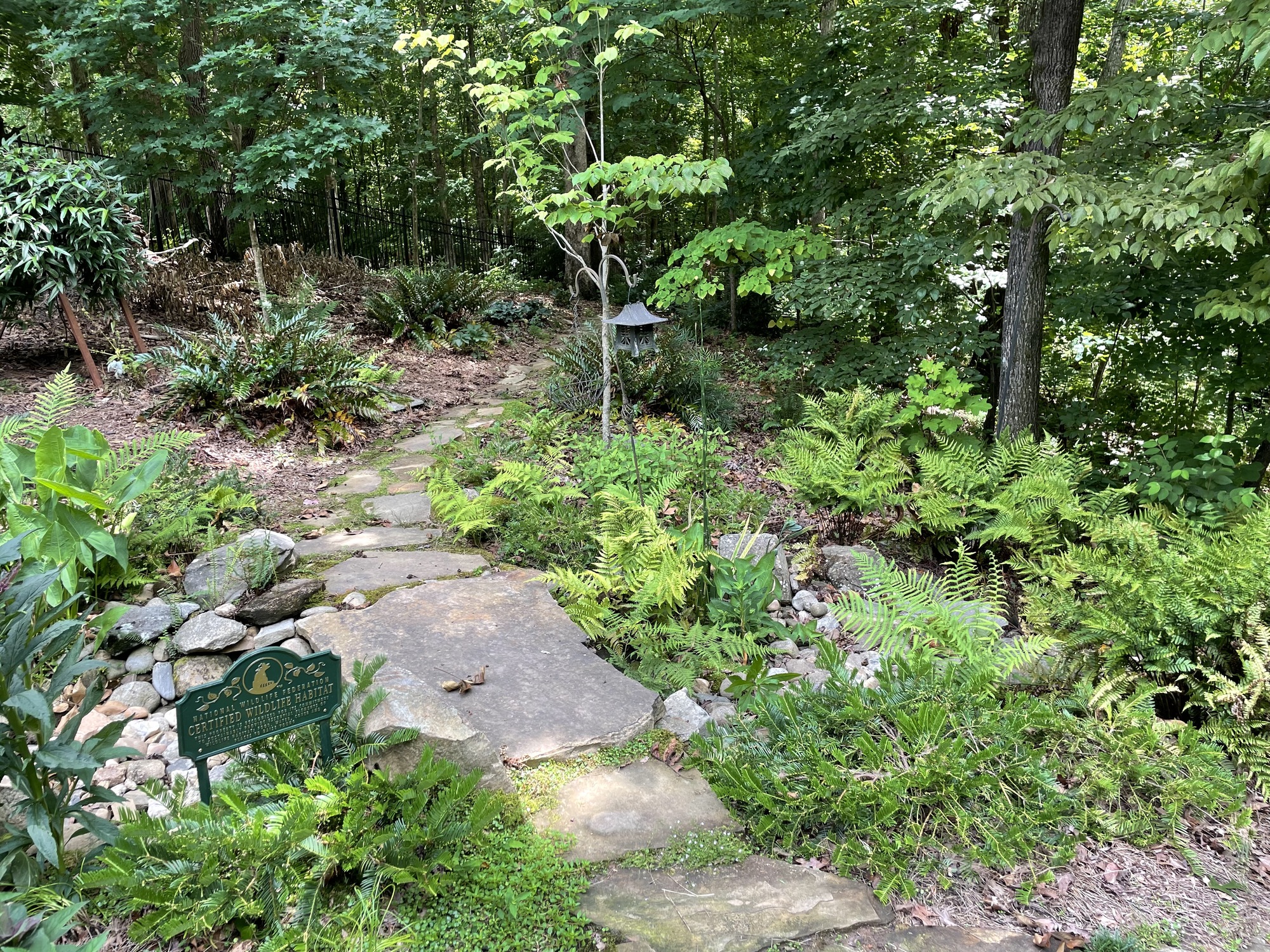 Wooded Oasis in Georgia - Photo 7