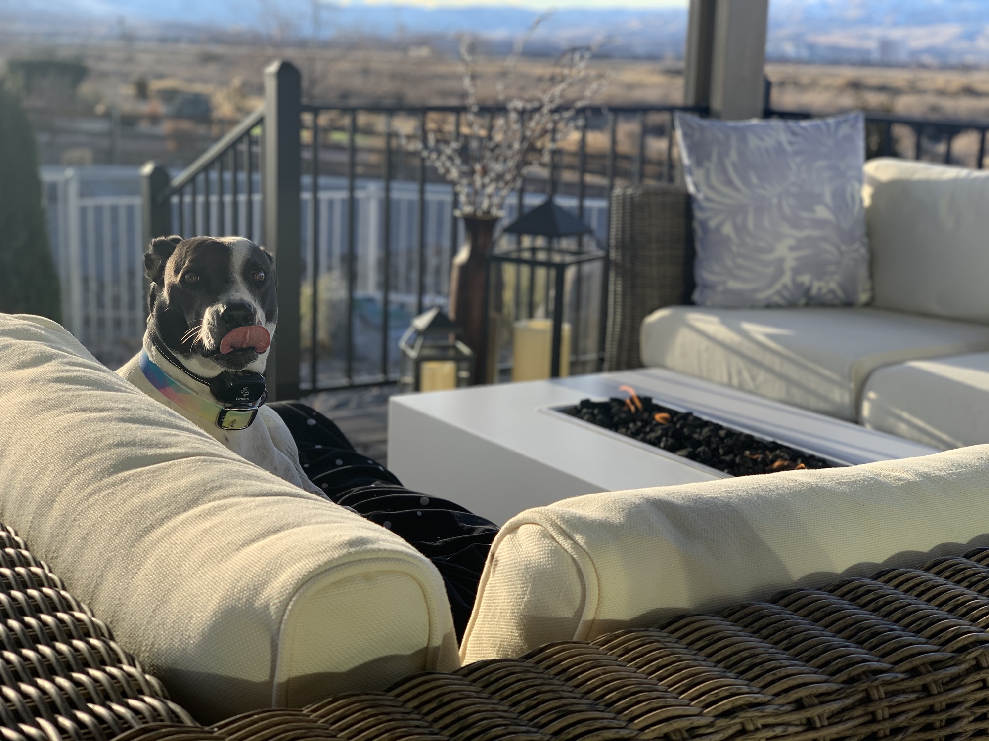 Secluded Escape in Reno, NV - Photo 4