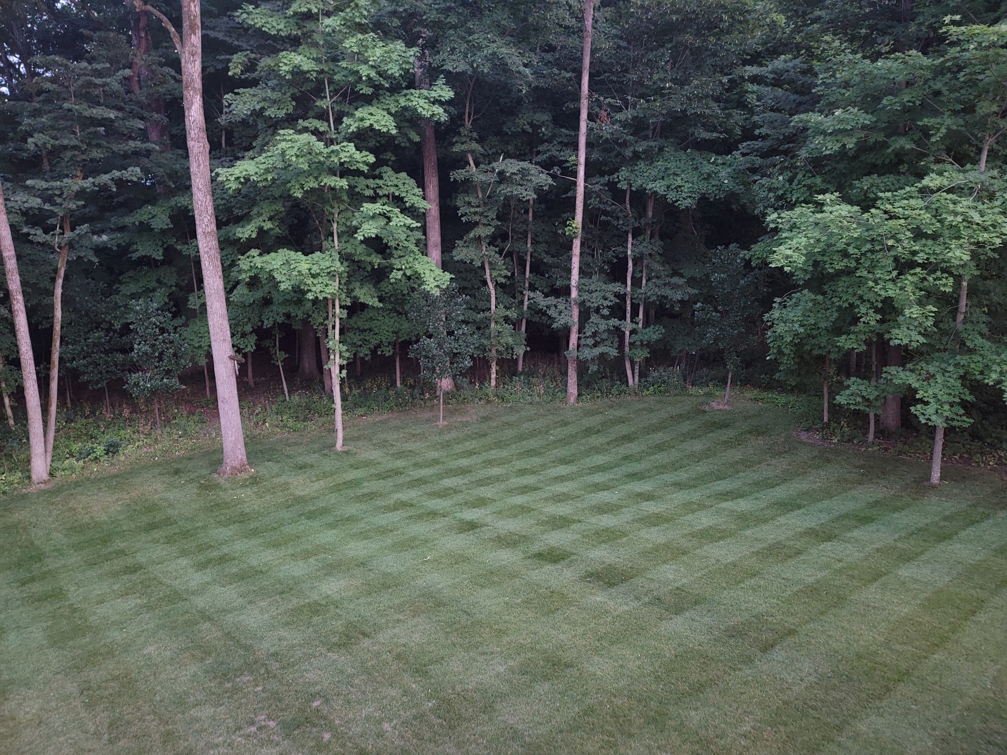 A Gorgeous DIY Deck in Waukesha, Wisconsin - Photo 7