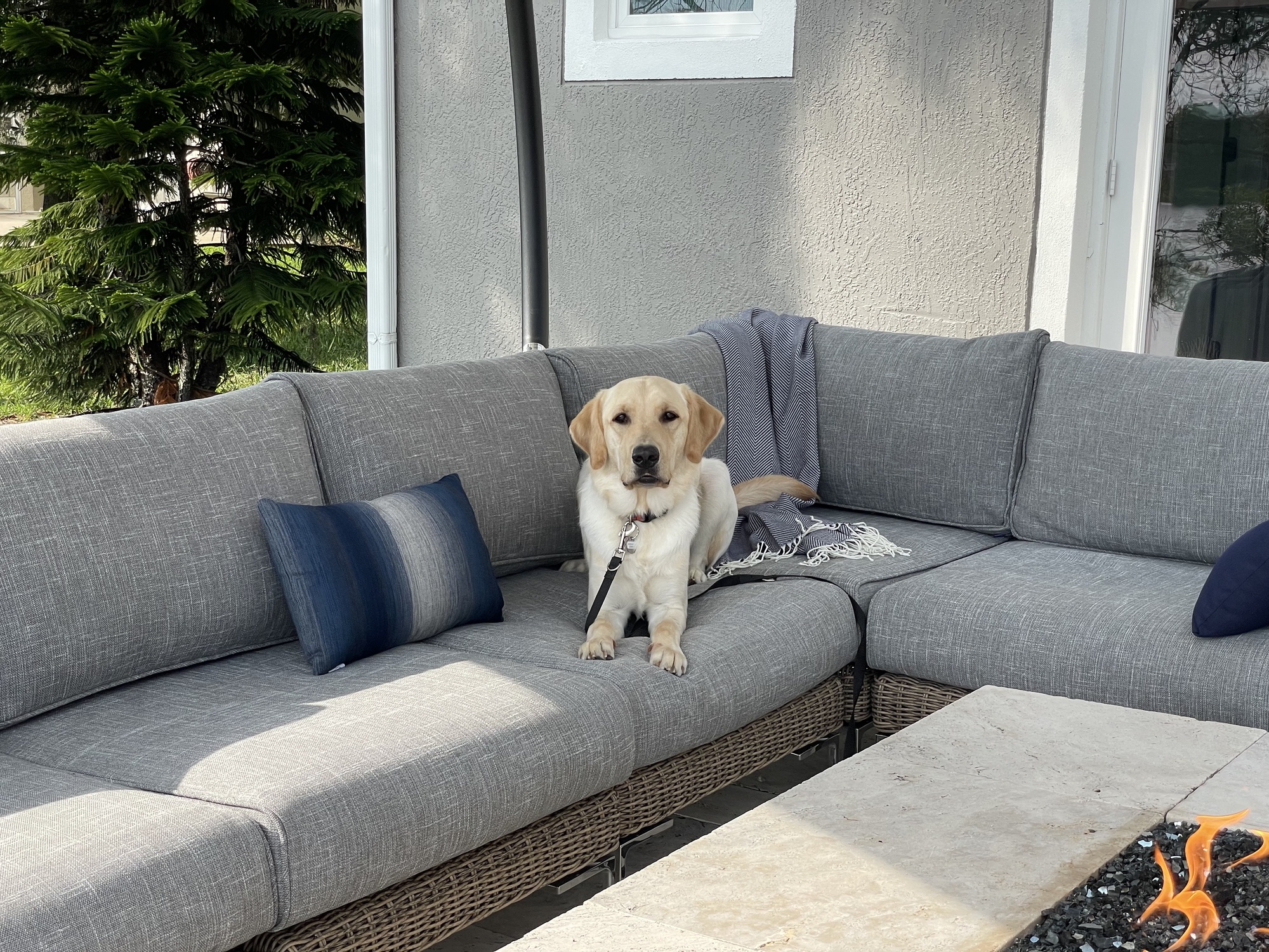 Lakeside Escape in Orlando, FL - Photo 8