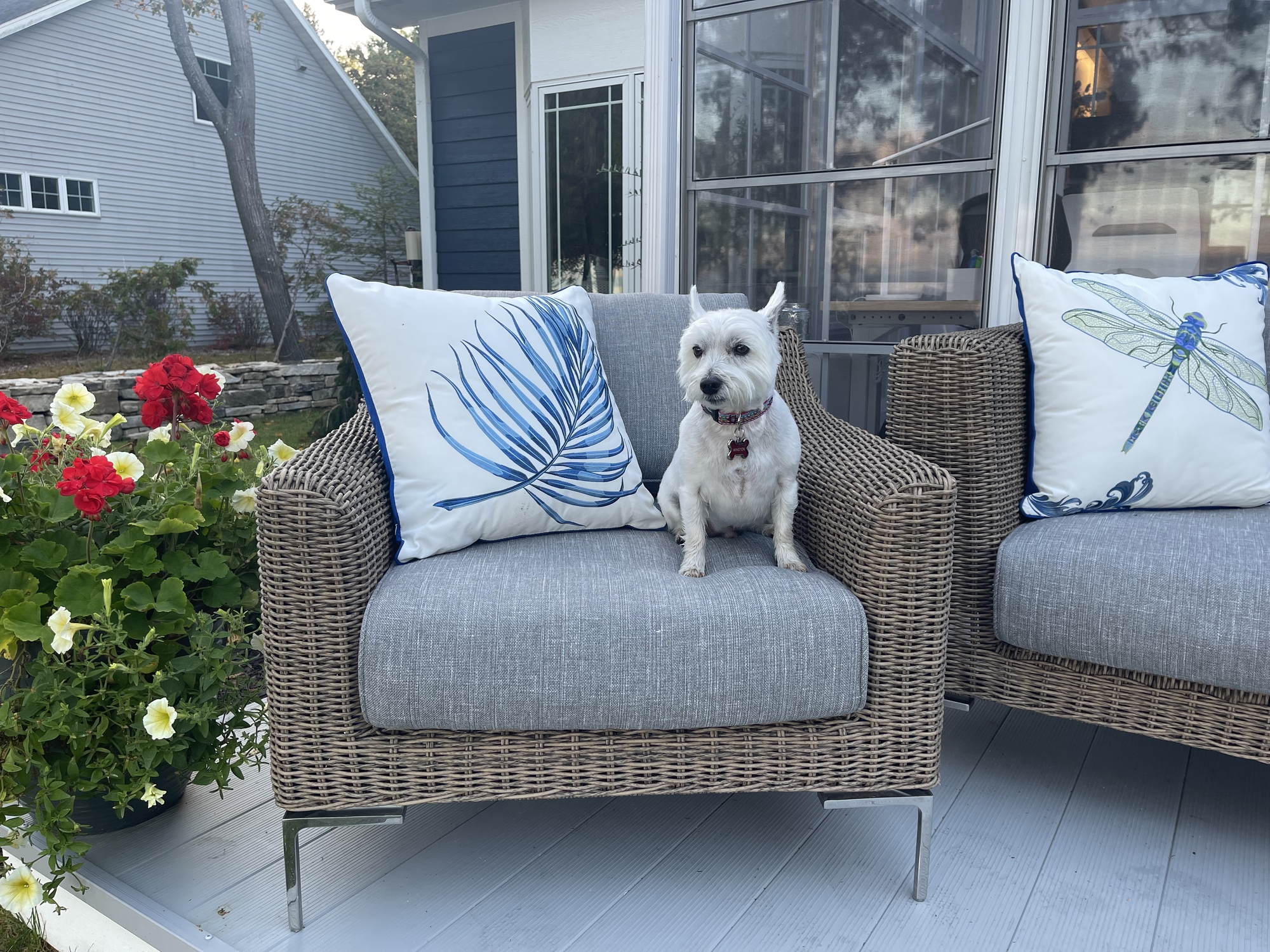 A Dream Home on the Bay - Photo 5