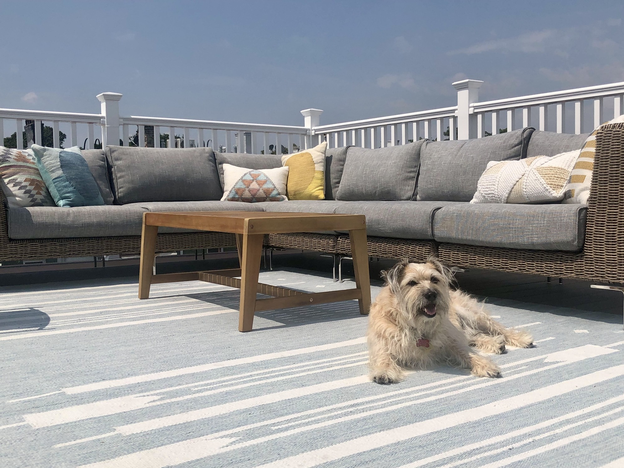 A Fun, Active Couple’s Rooftop Deck with Views of NYC - Photo 4