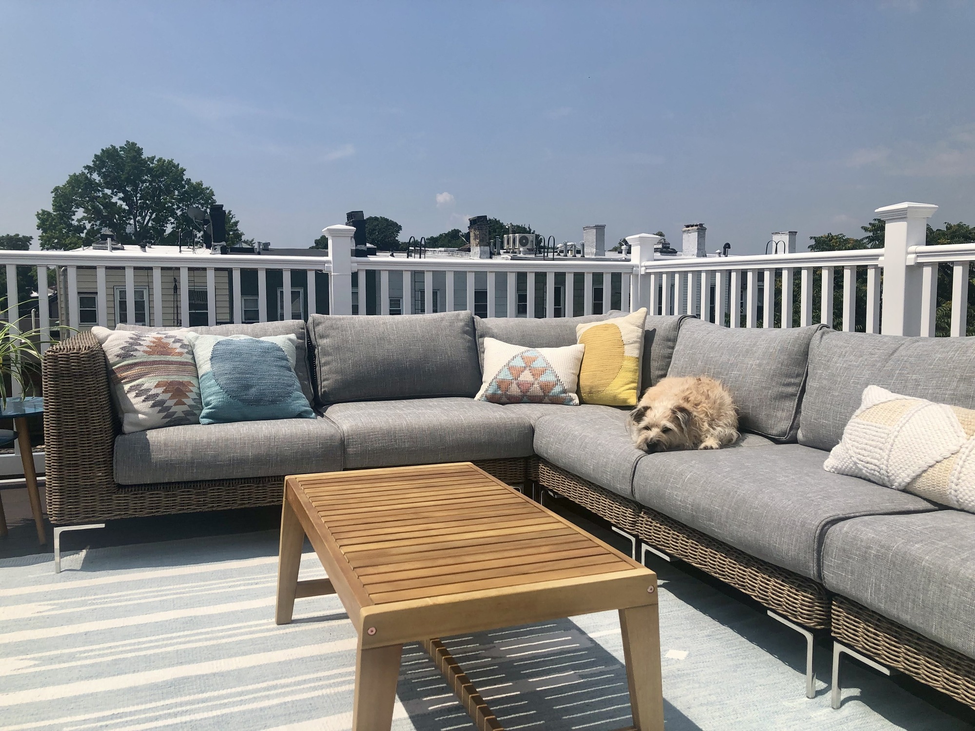 A Fun, Active Couple’s Rooftop Deck with Views of NYC - Photo 5